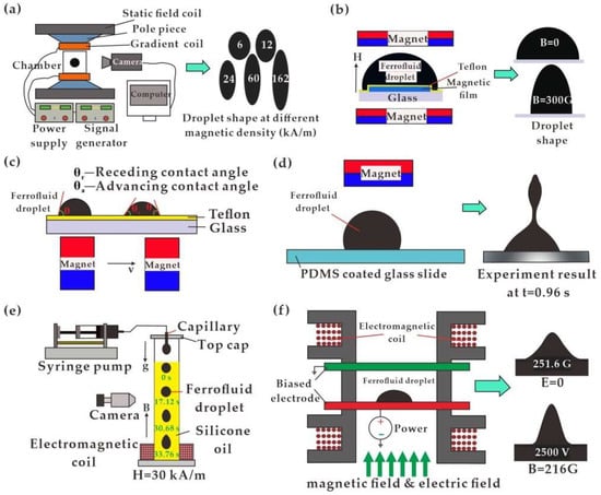 Biosensors 12 00156 g002