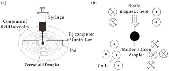 Biosensors 12 00156 g006