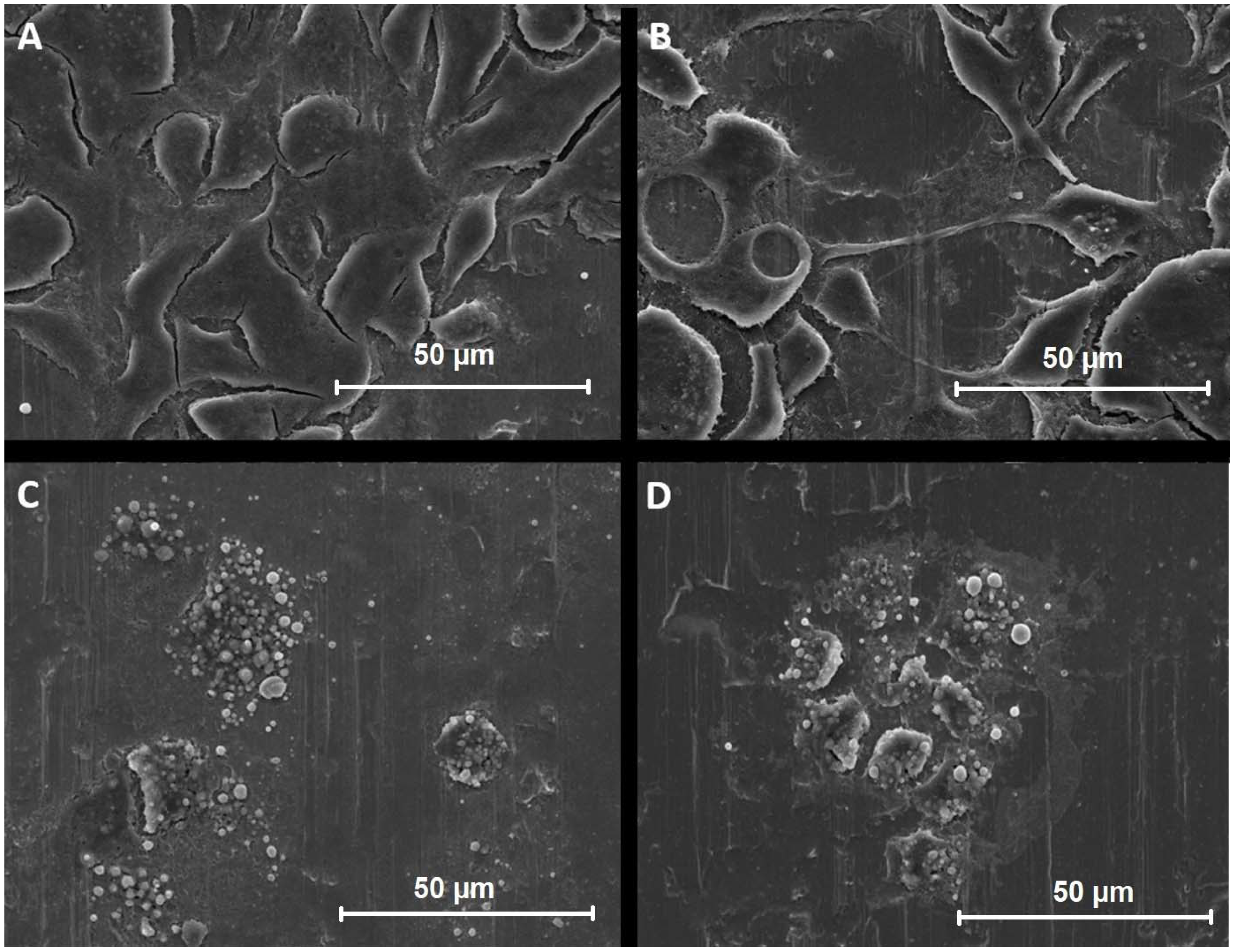 Biosensors 12 00160 g005