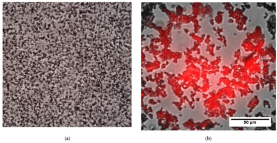 Biosensors 12 00162 g0a2 550