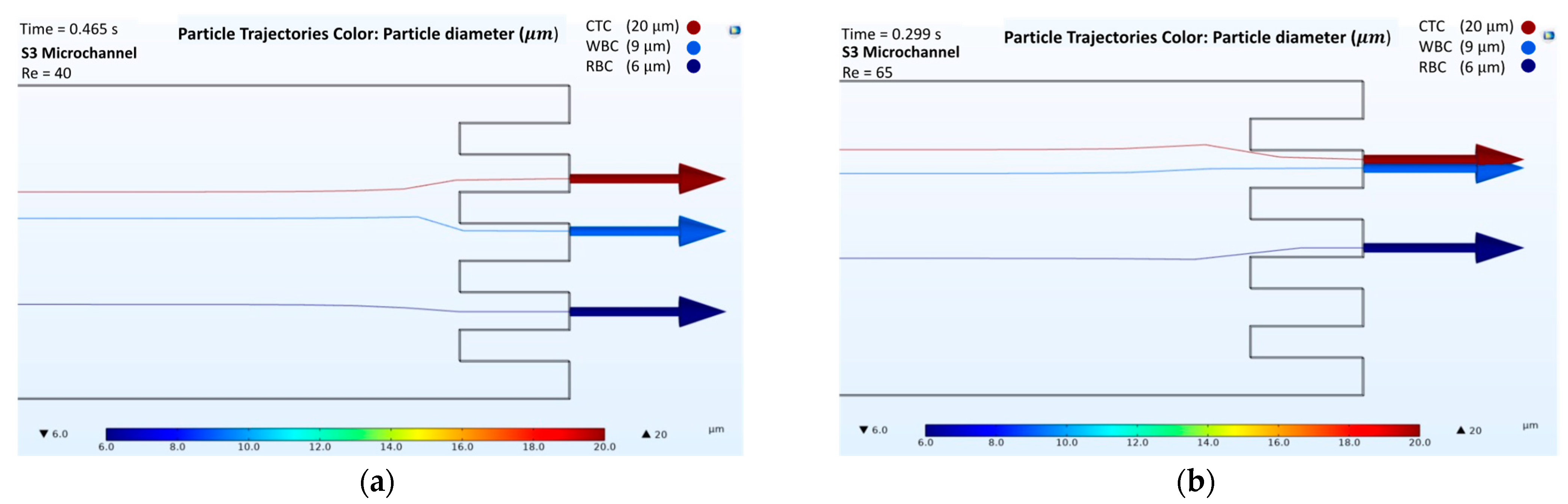 Biosensors 12 00171 g005