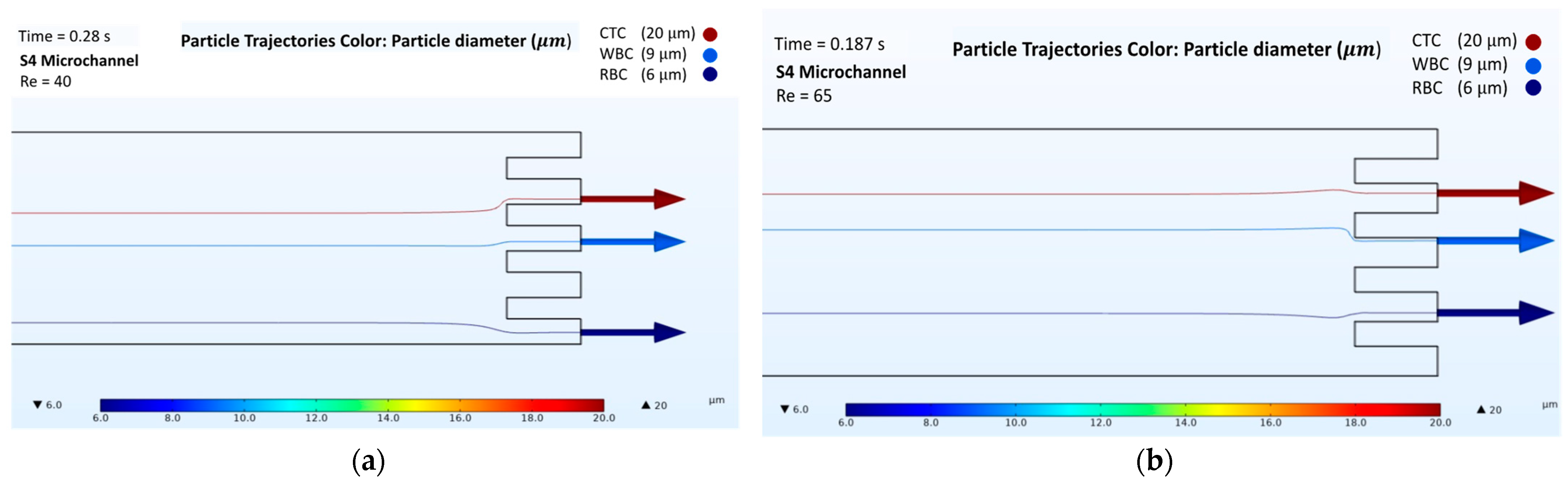 Biosensors 12 00171 g006