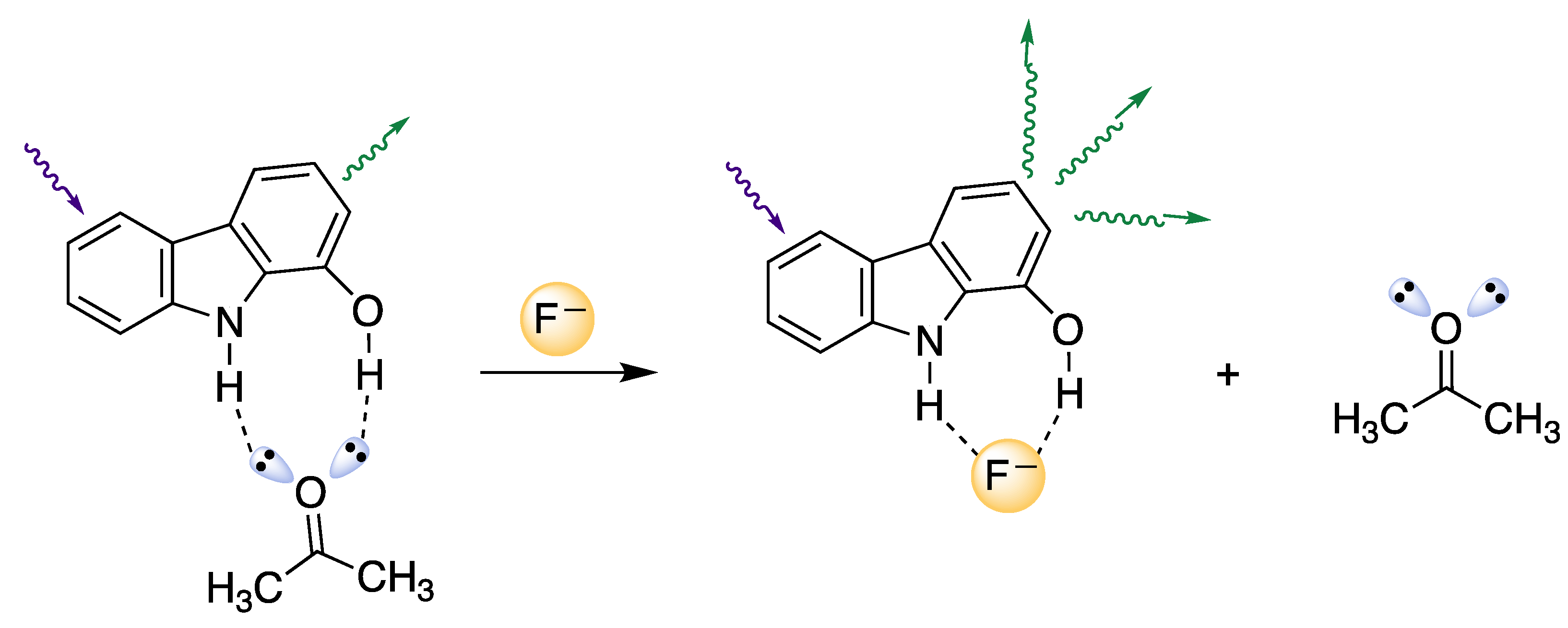 Biosensors 12 00175 g005