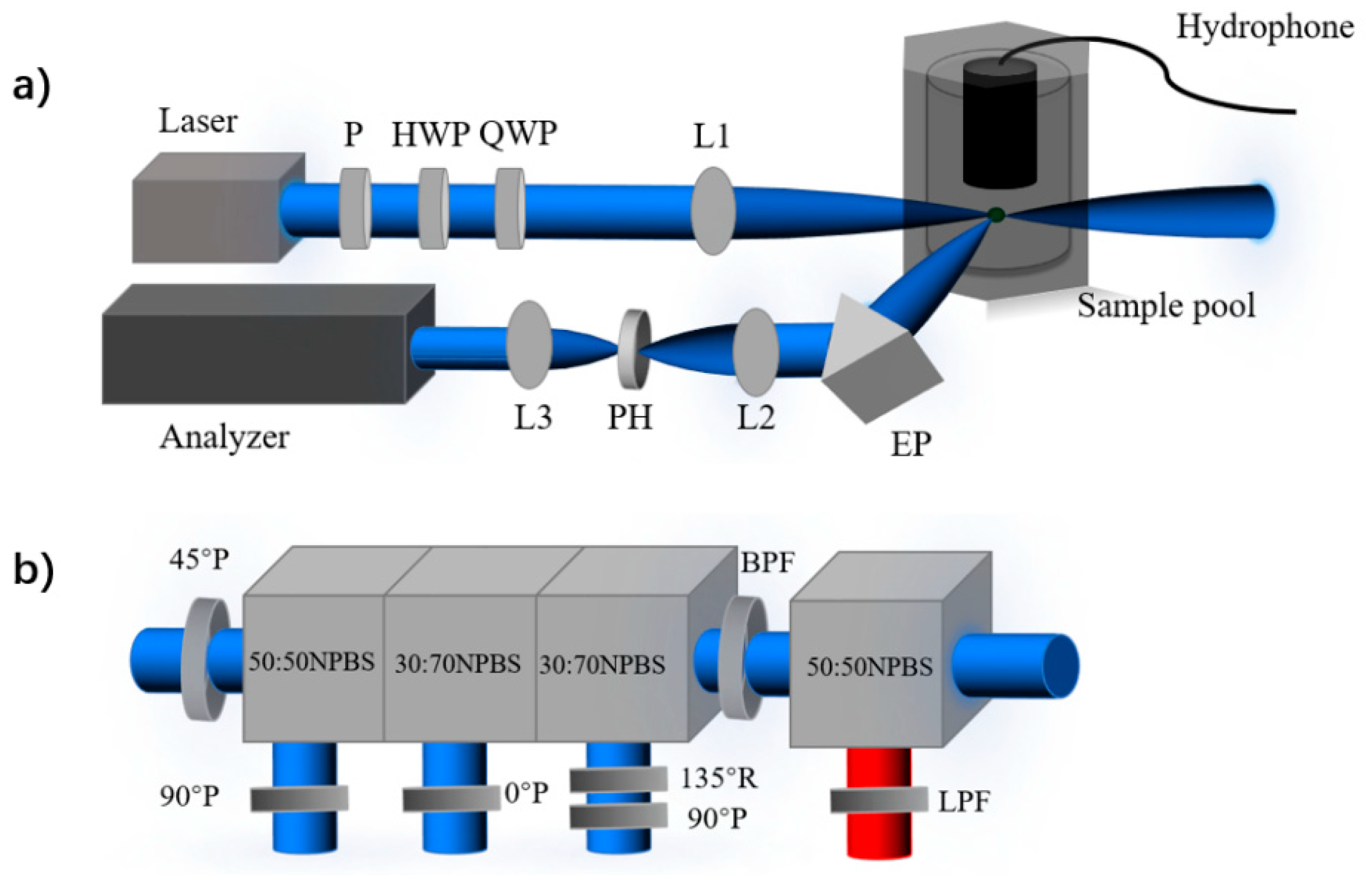 Biosensors 12 00176 g001 Biosensors 12 00176 g001