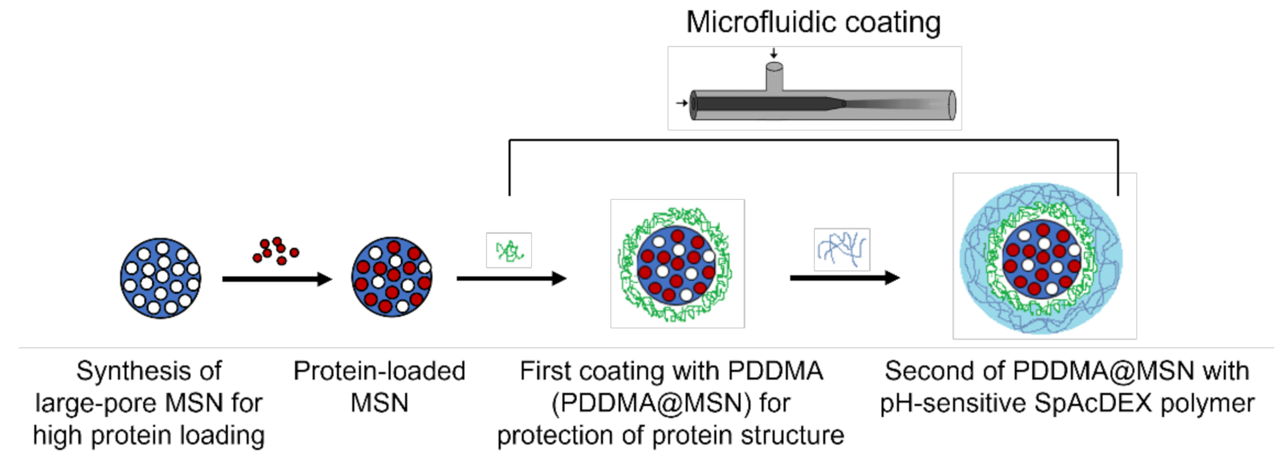 Biosensors 12 00181 g001