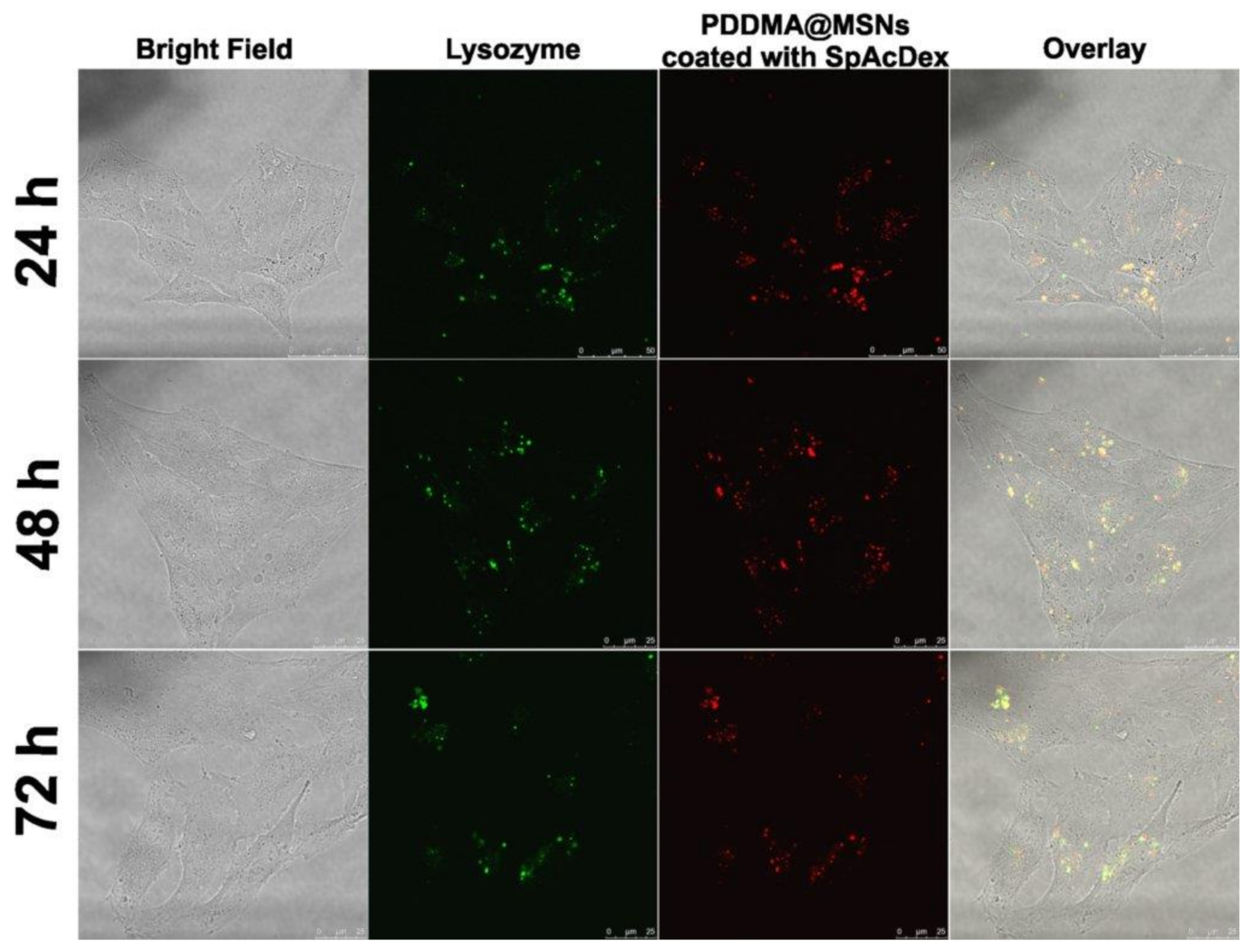 Biosensors 12 00181 g006