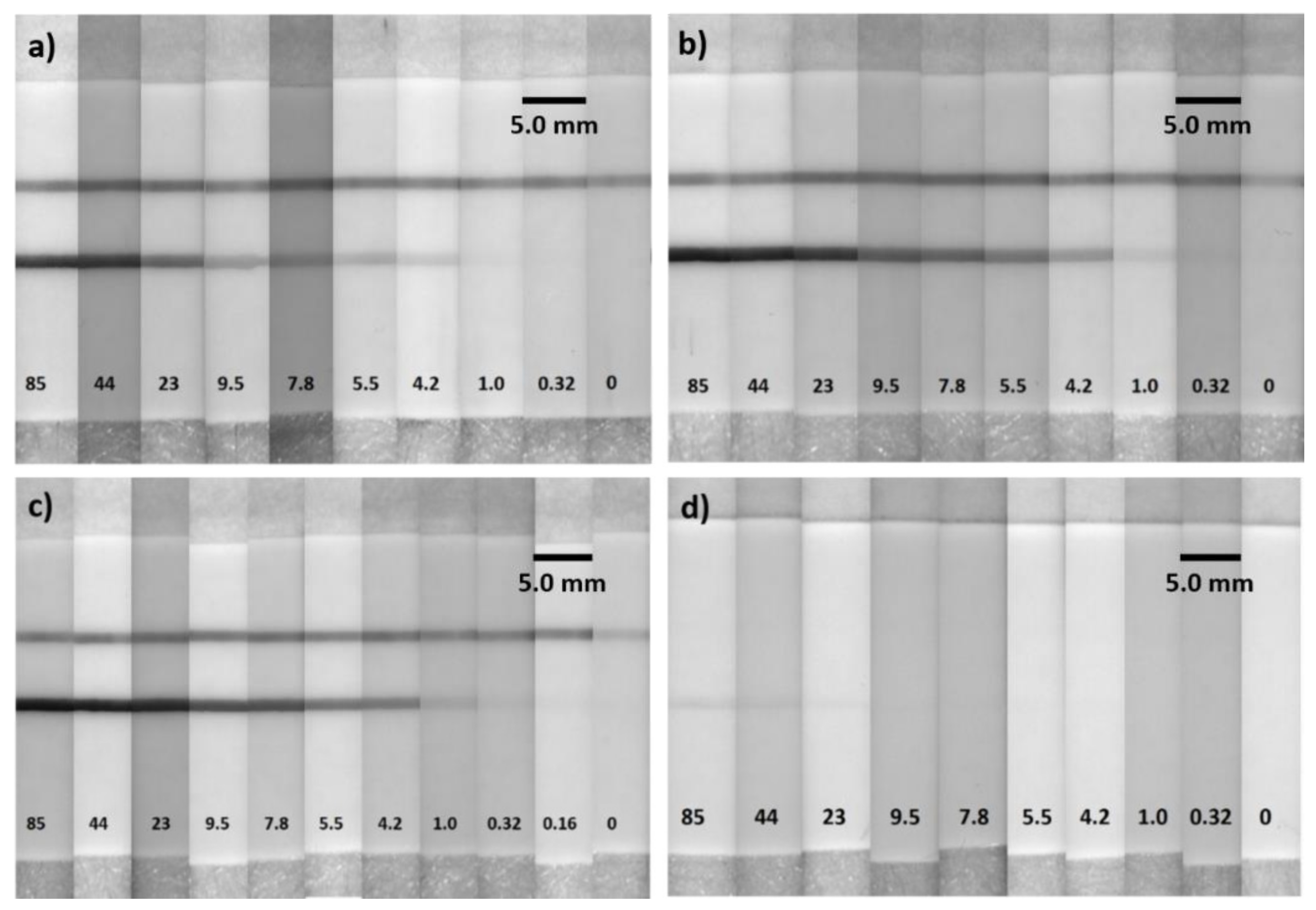 Biosensors 12 00182 g005