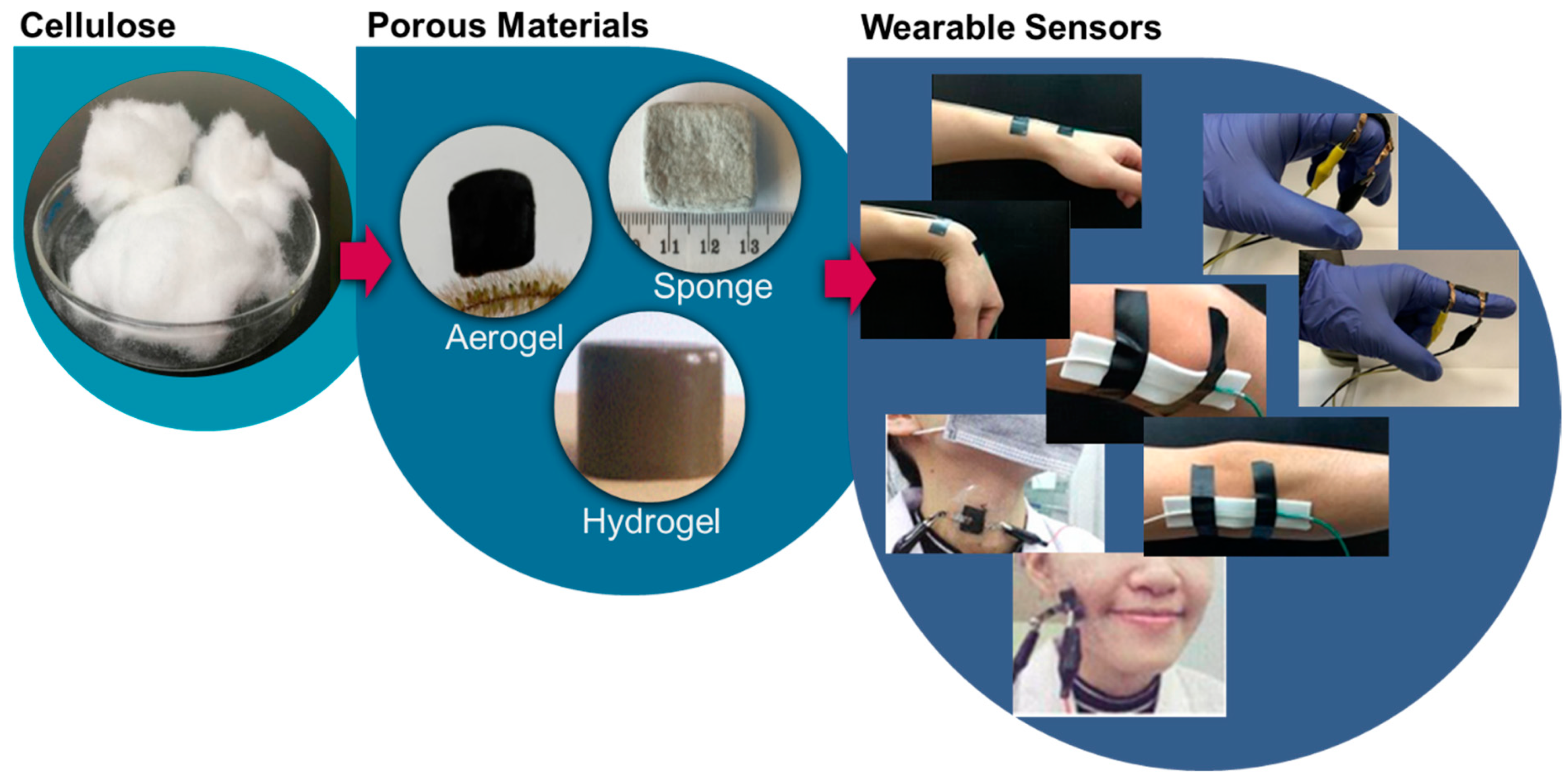 Biosensors 12 00187 g001