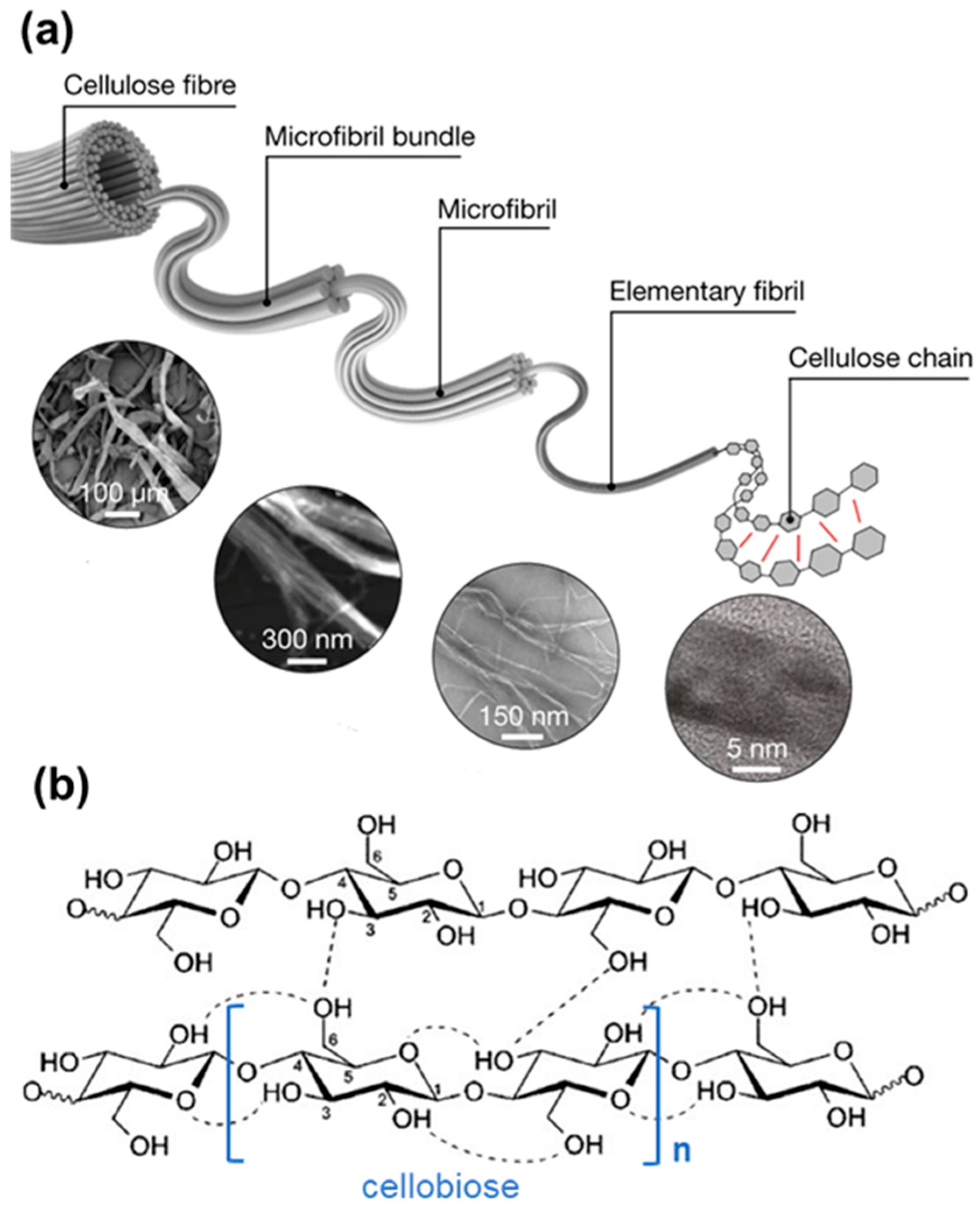 Biosensors 12 00187 g002