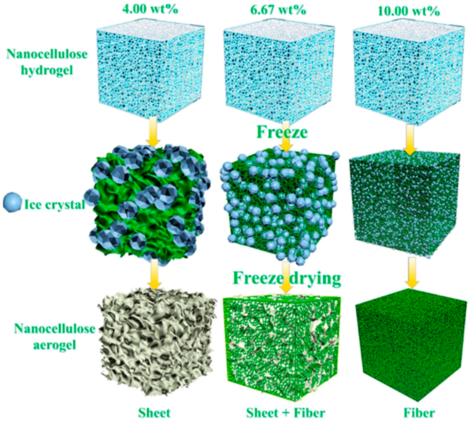 Biosensors 12 00187 g003