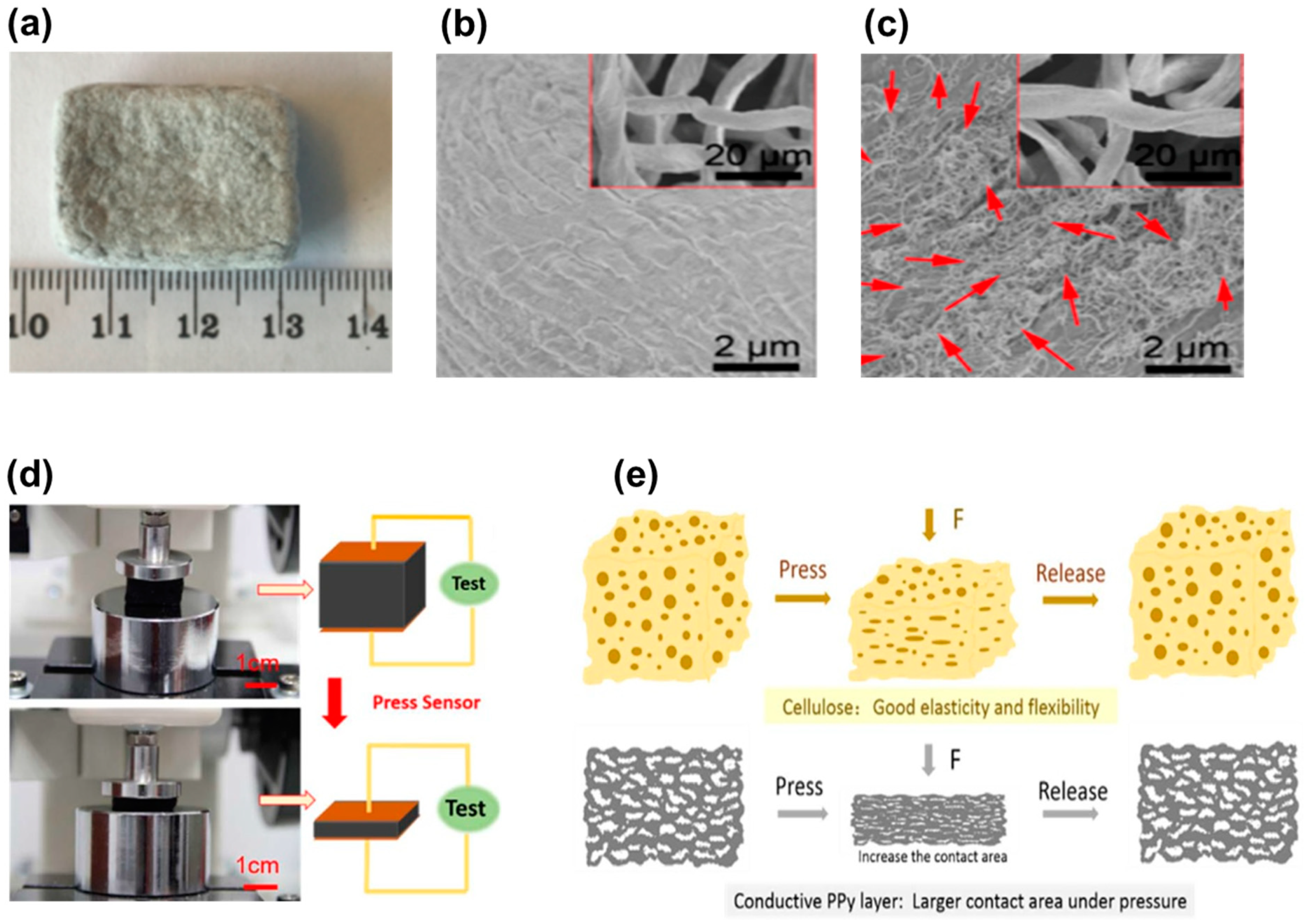 Biosensors 12 00187 g006