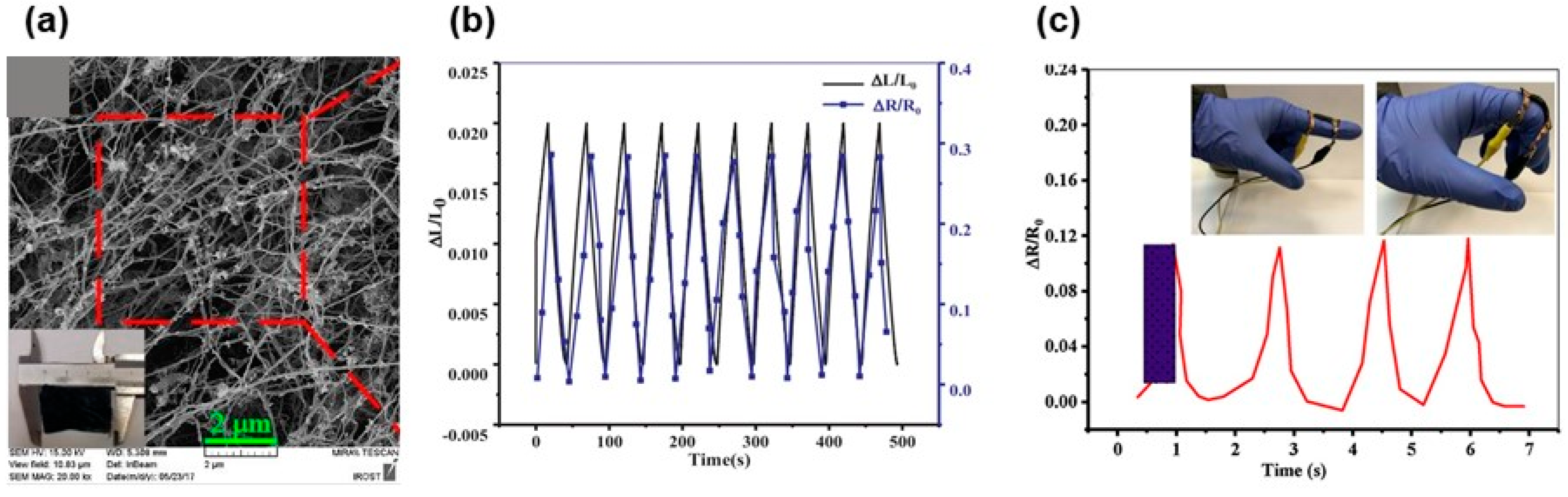 Biosensors 12 00187 g008