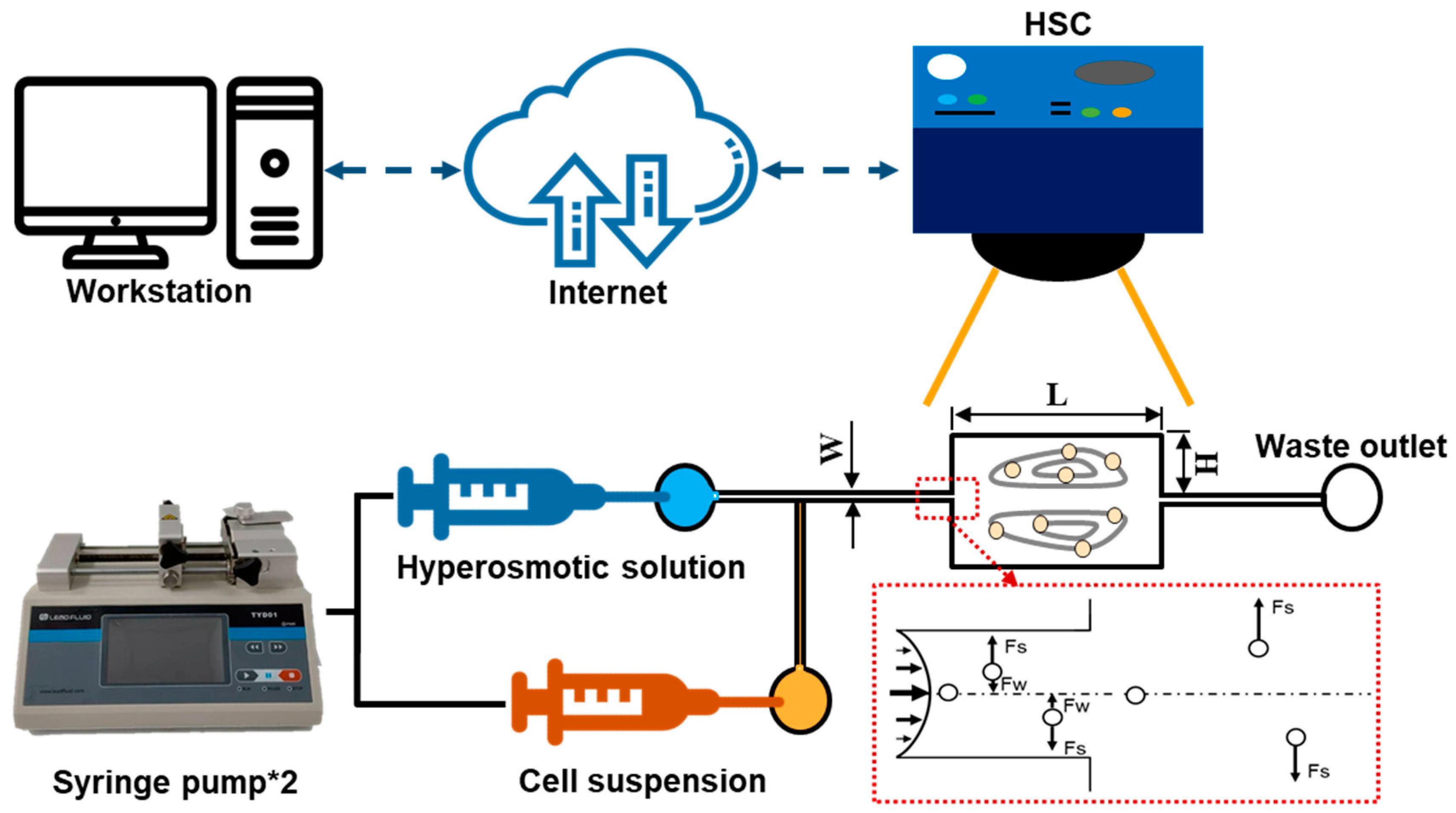 Biosensors 12 00199 g001