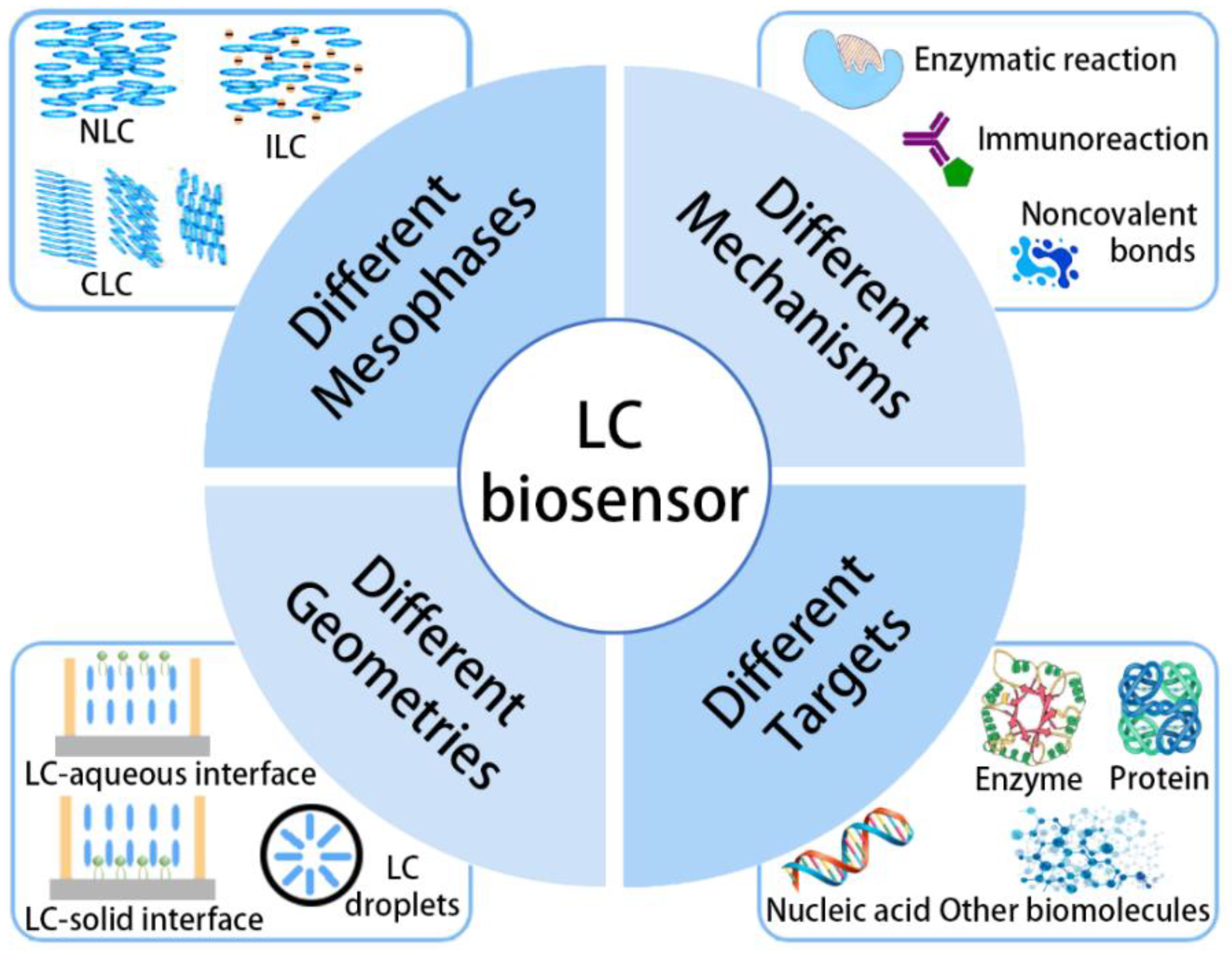 Biosensors 12 00205 g001