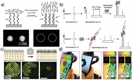 Biosensors 12 00205 g003
