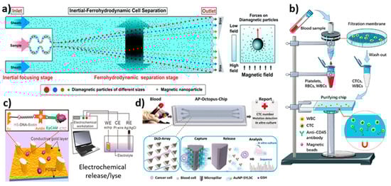 Biosensors 12 00220 g006 550
