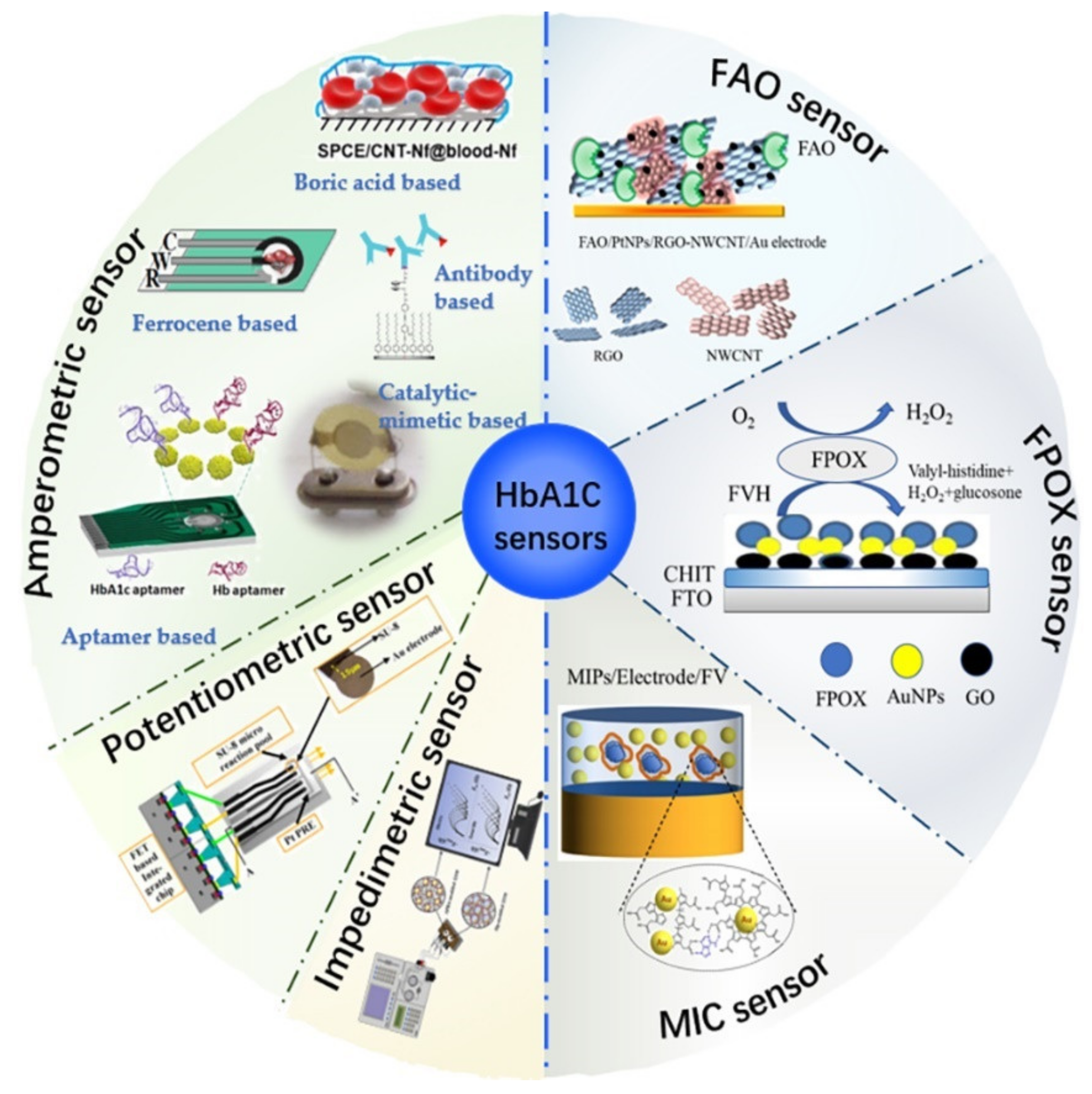 Biosensors 12 00221 g001