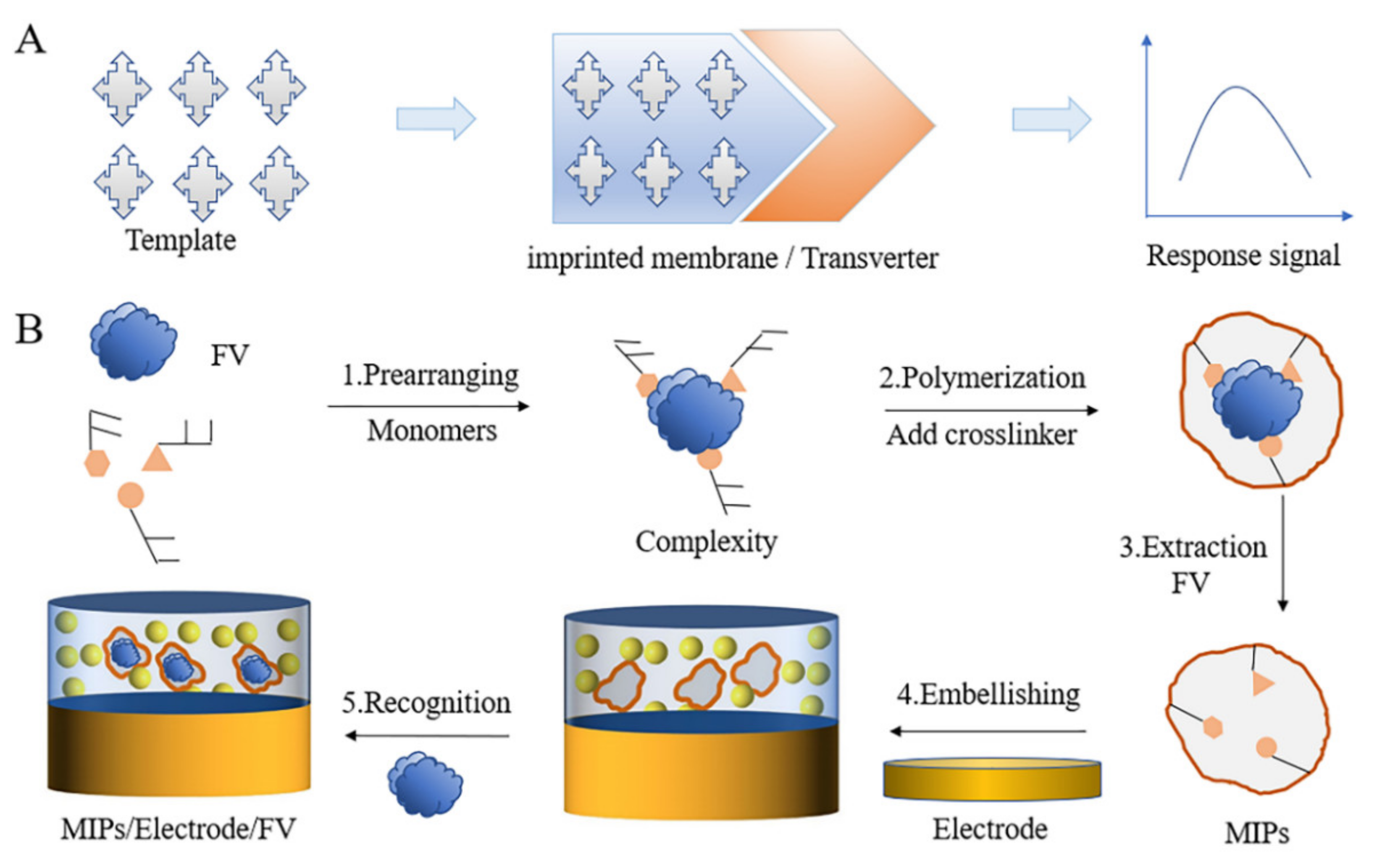 Biosensors 12 00221 g006