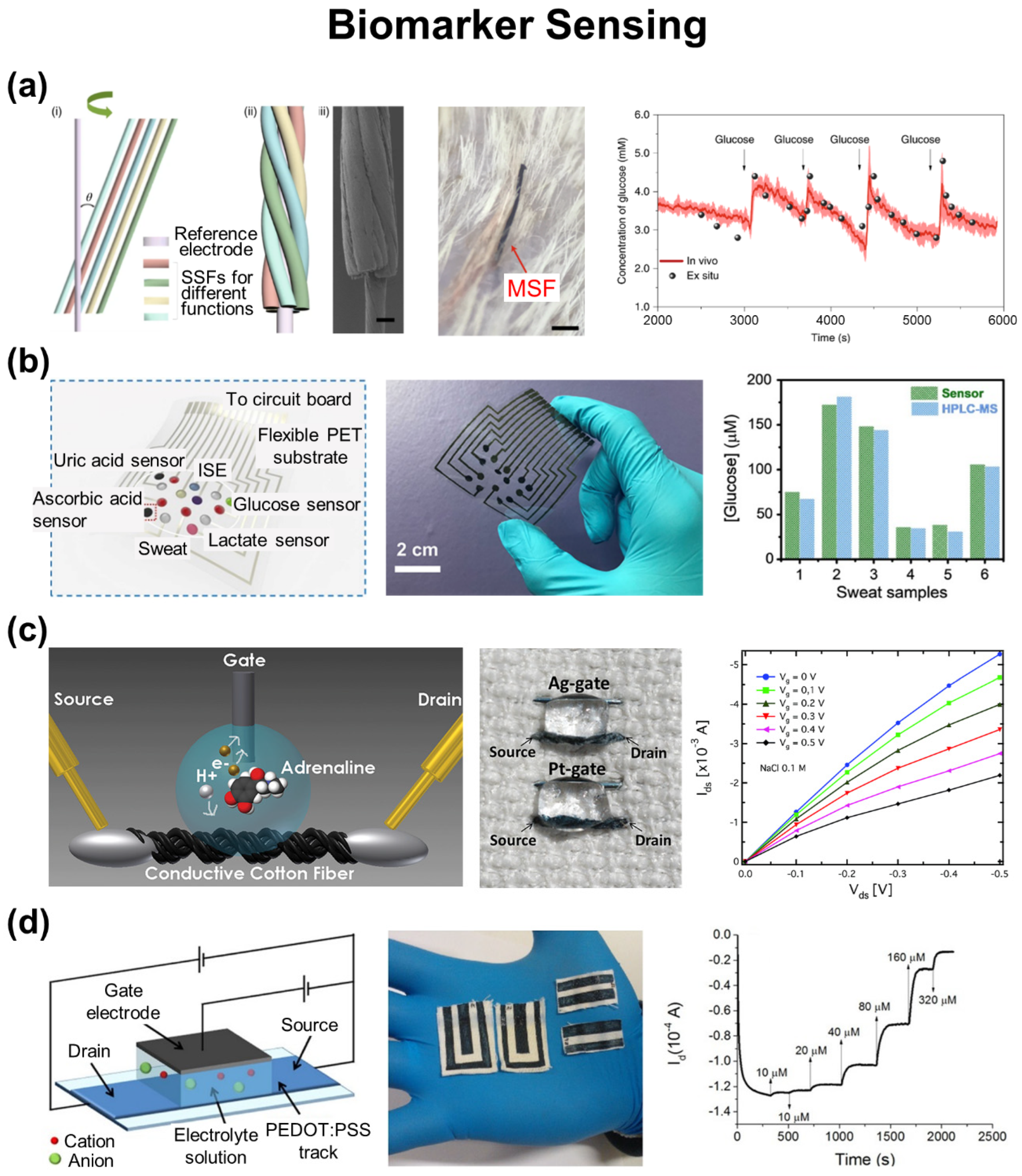 Biosensors 12 00222 g004
