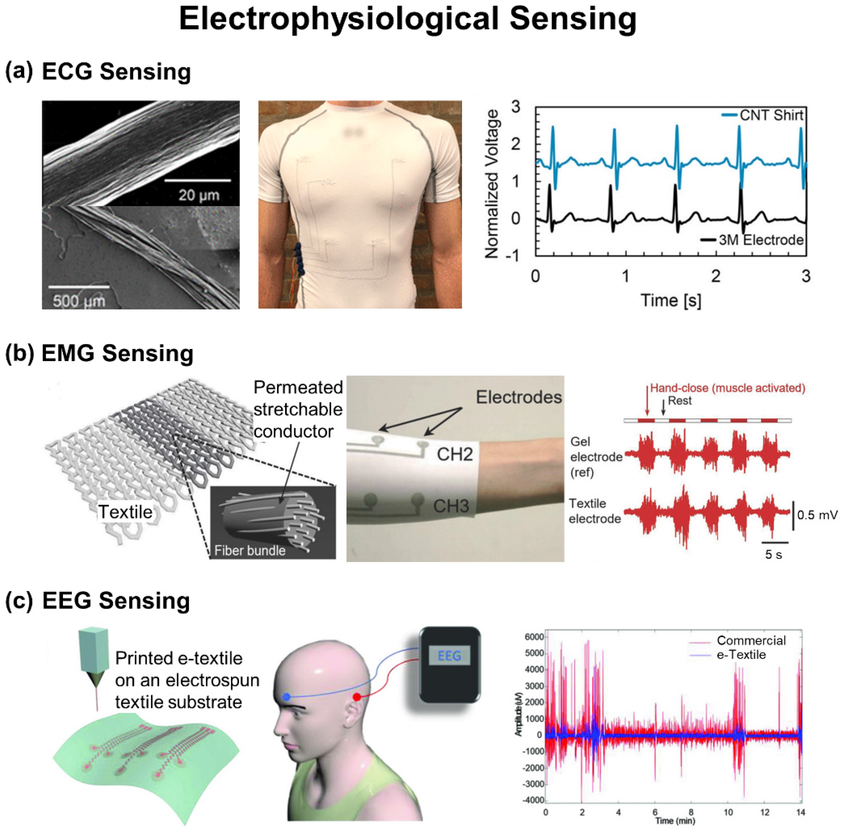 Biosensors 12 00222 g006