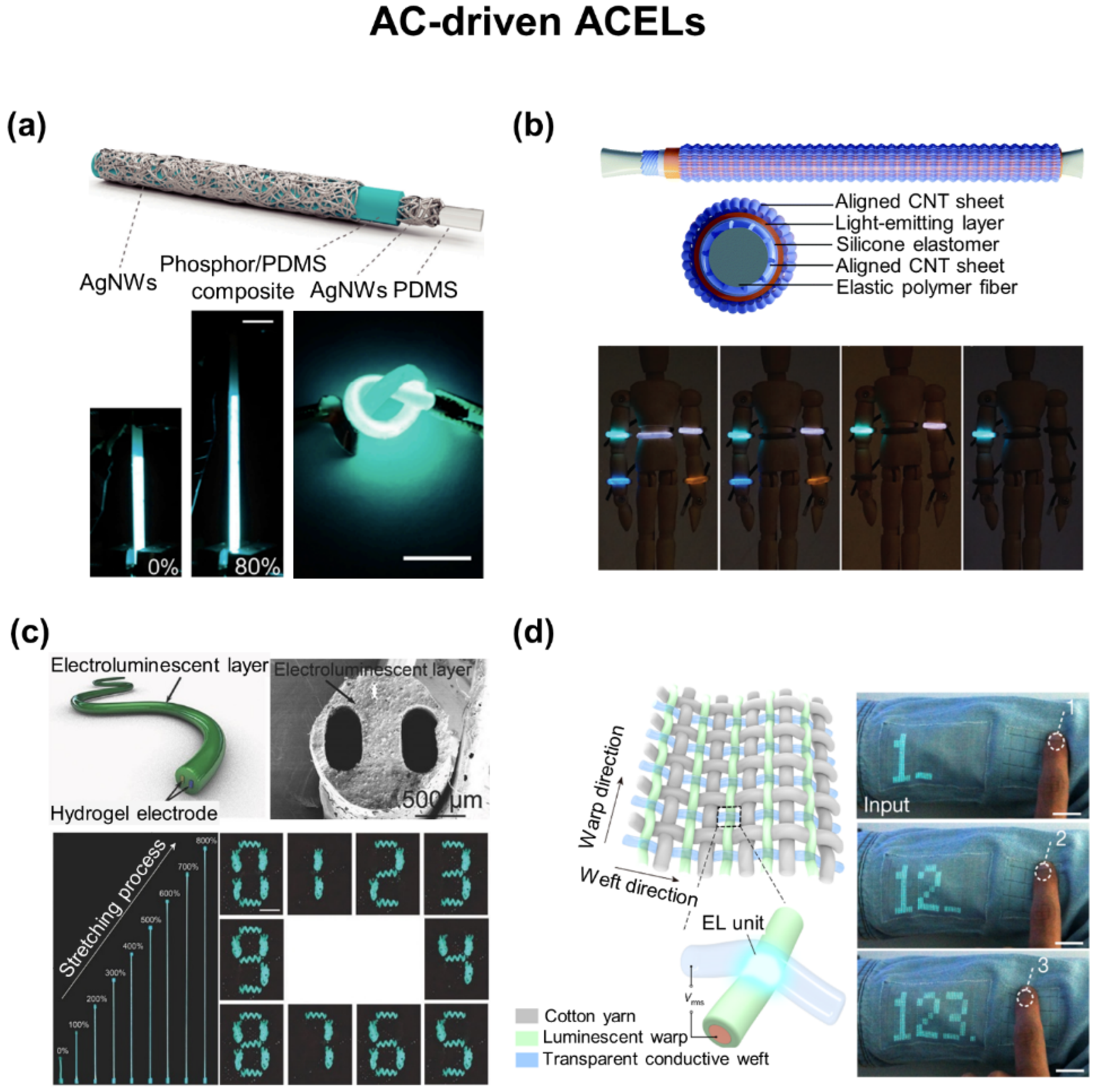 Biosensors 12 00222 g008