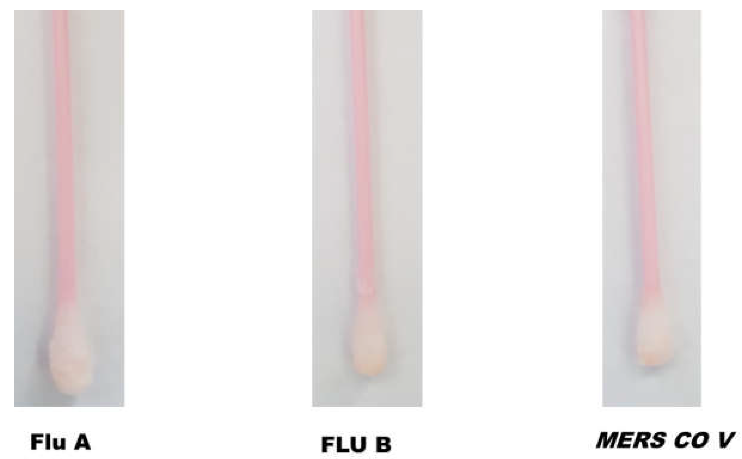 Biosensors 12 00232 g003