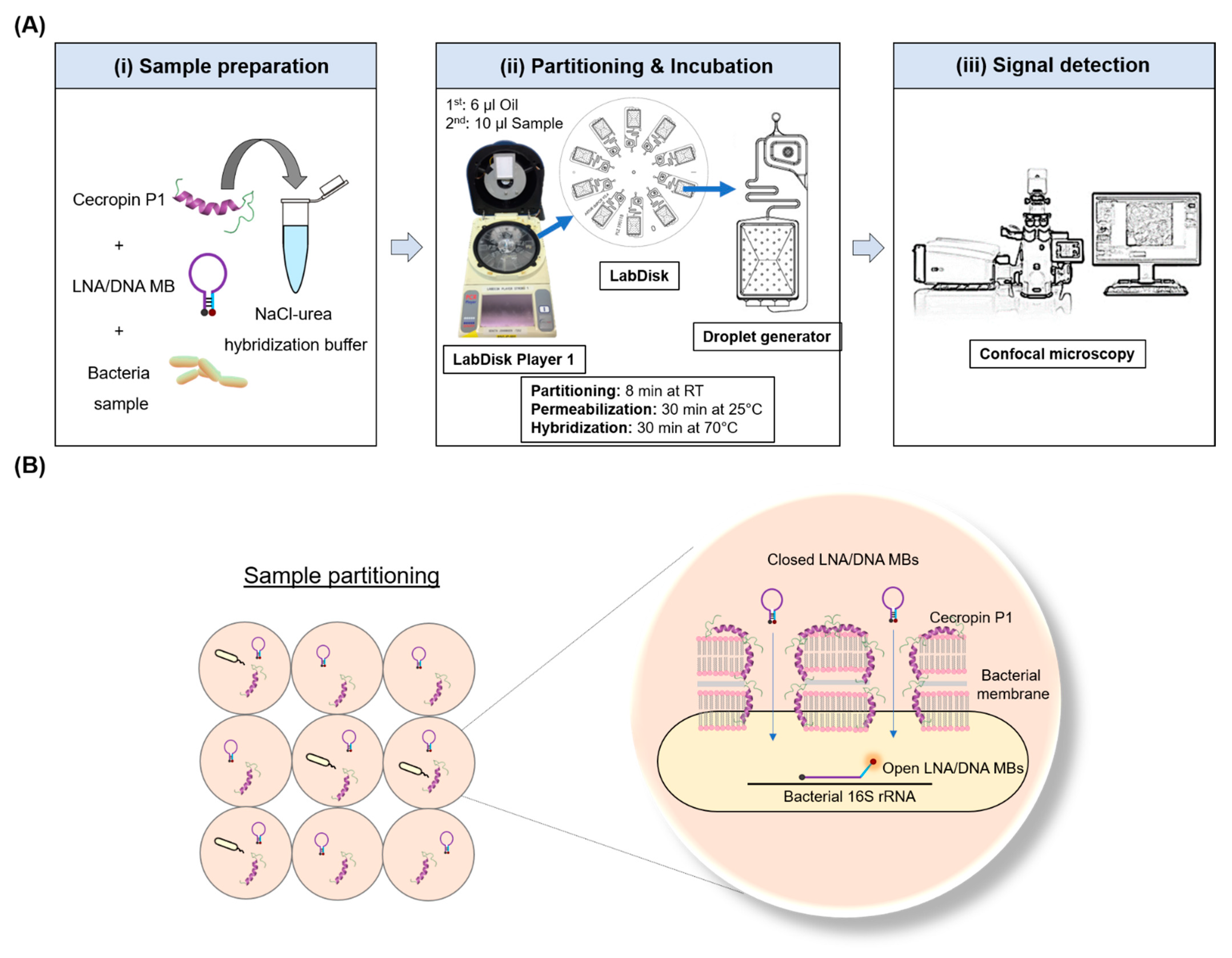 Biosensors 12 00237 g001