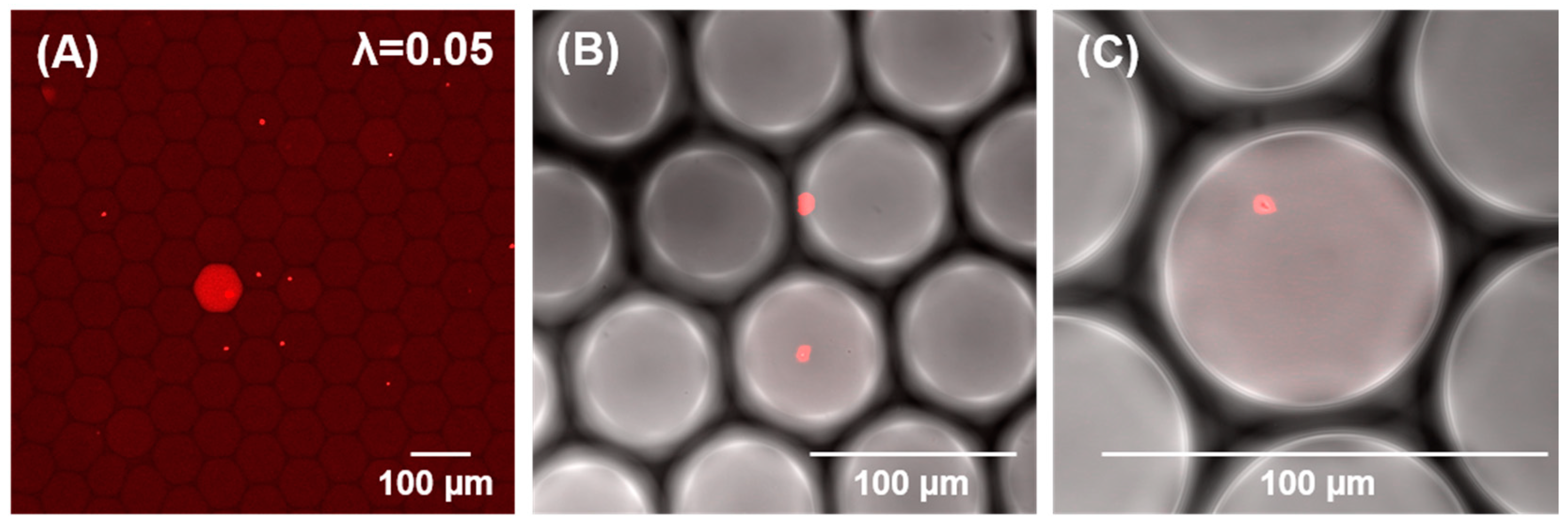 Biosensors 12 00237 g002