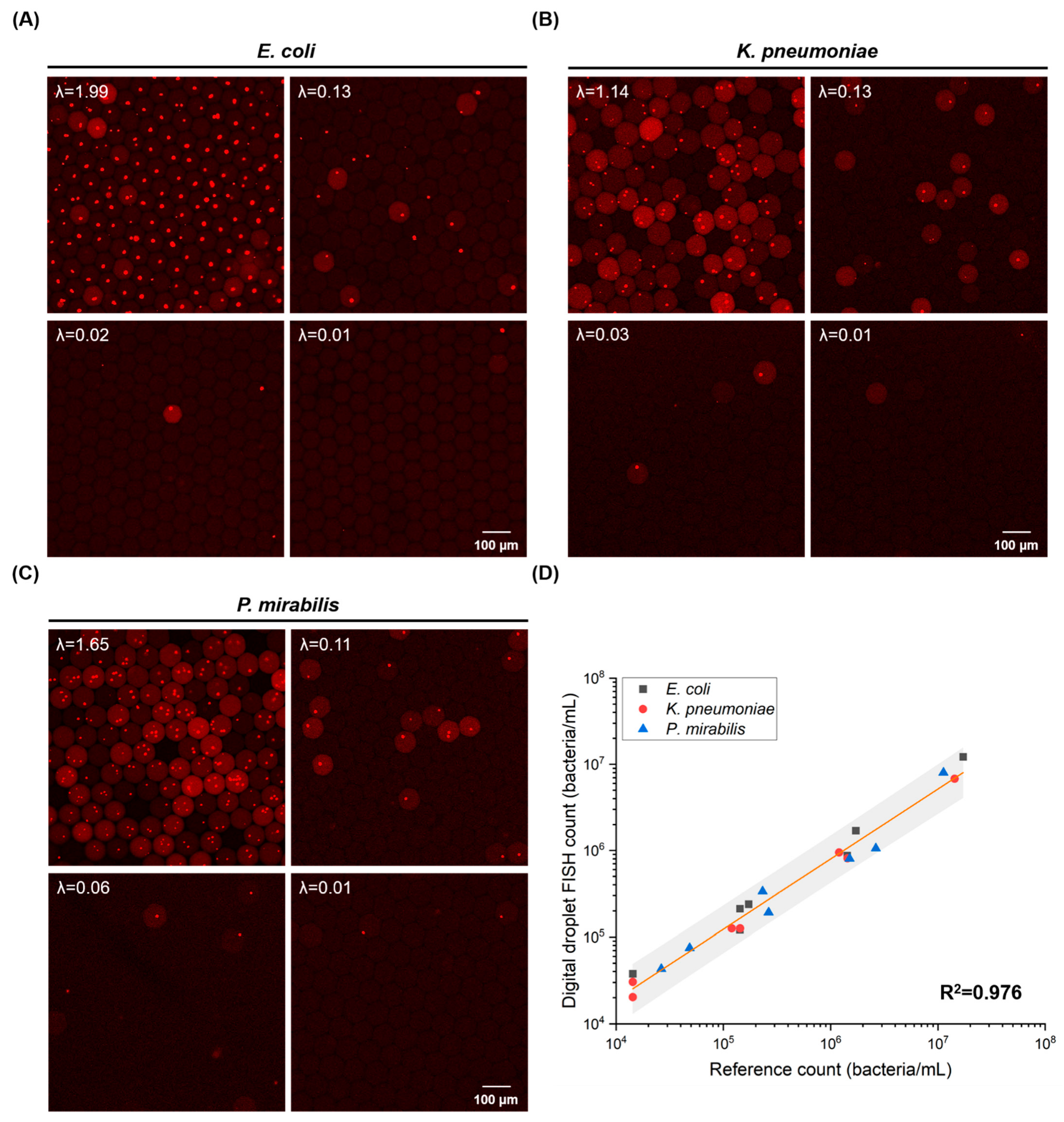 Biosensors 12 00237 g003