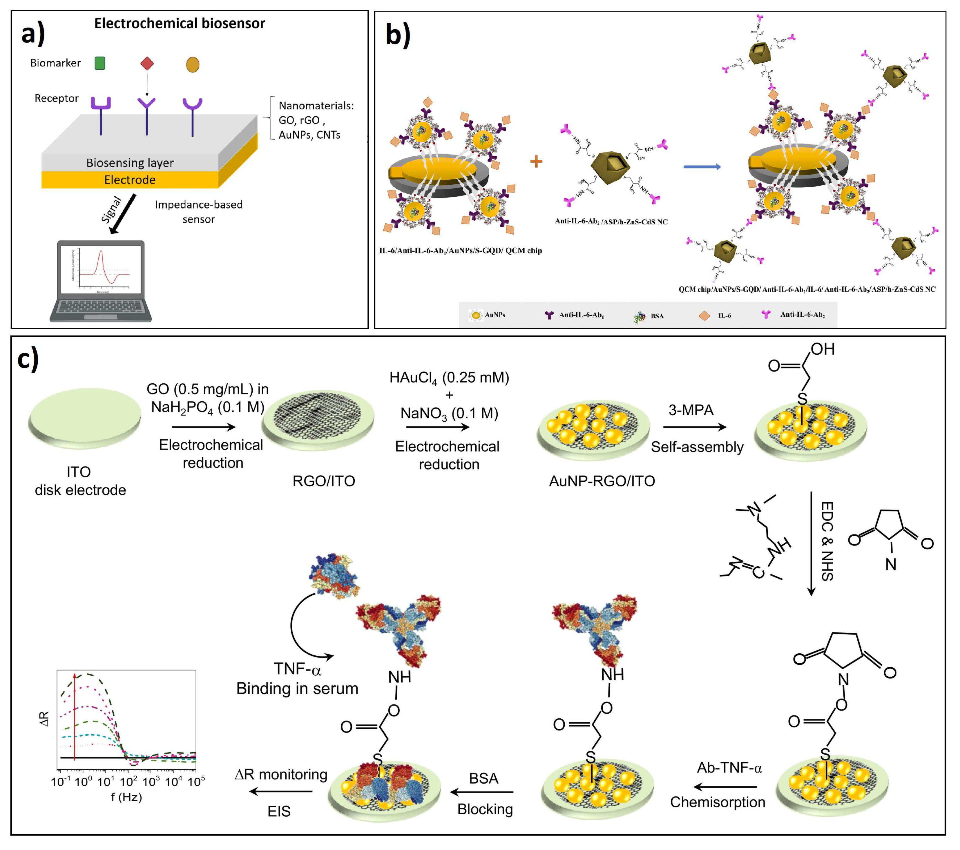 Biosensors 12 00244 g002
