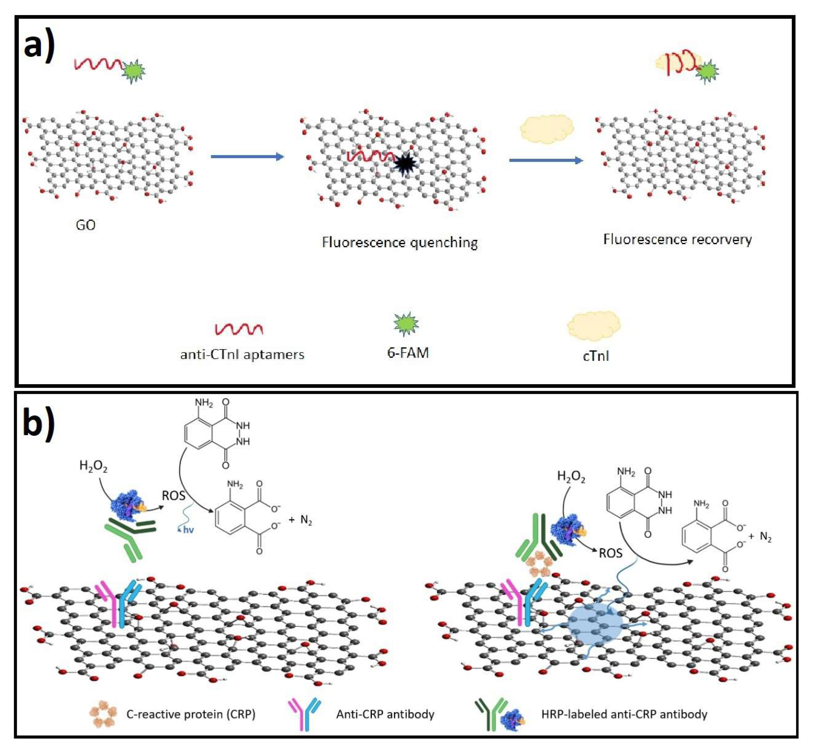Biosensors 12 00244 g003