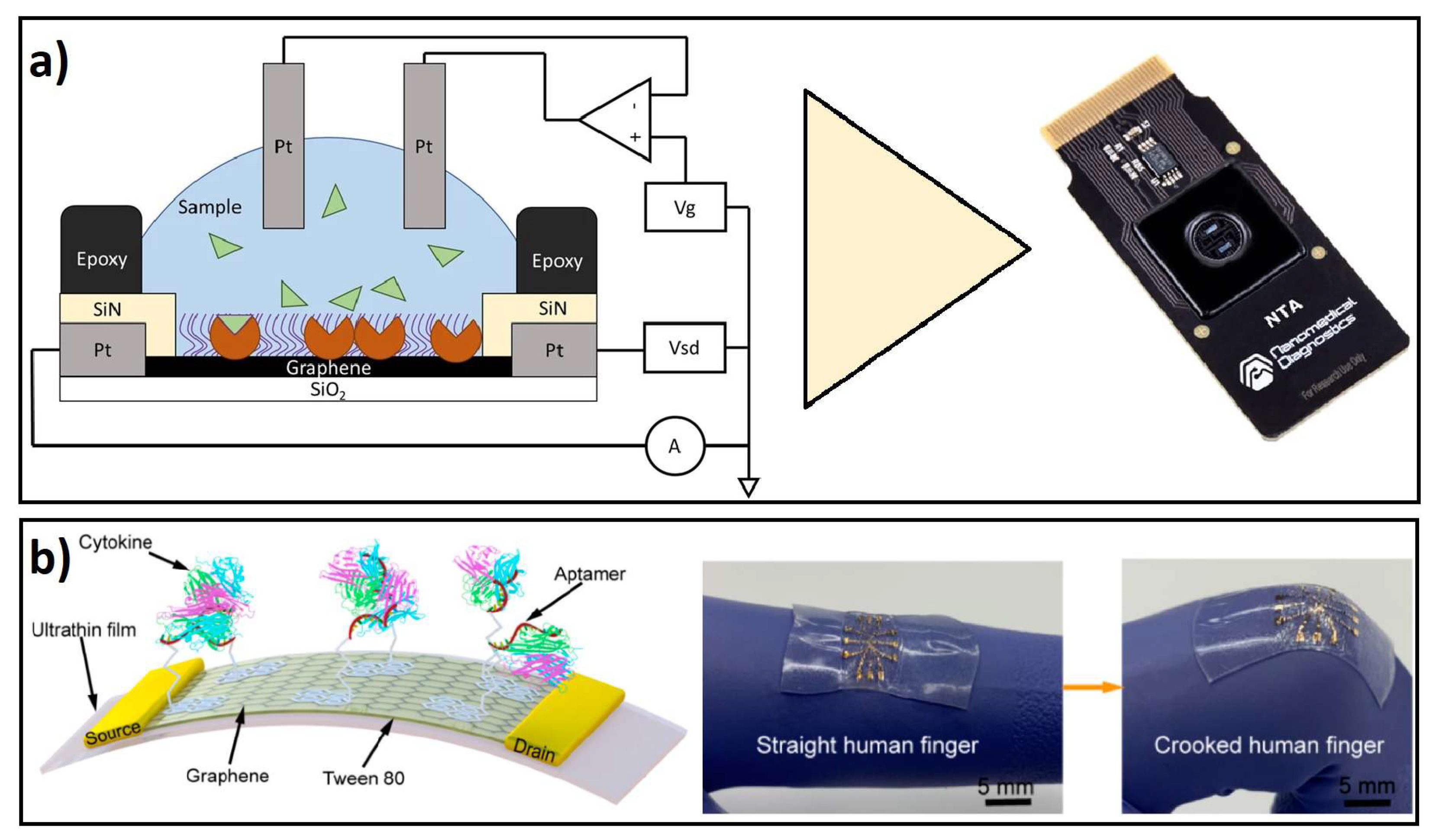 Biosensors 12 00244 g004