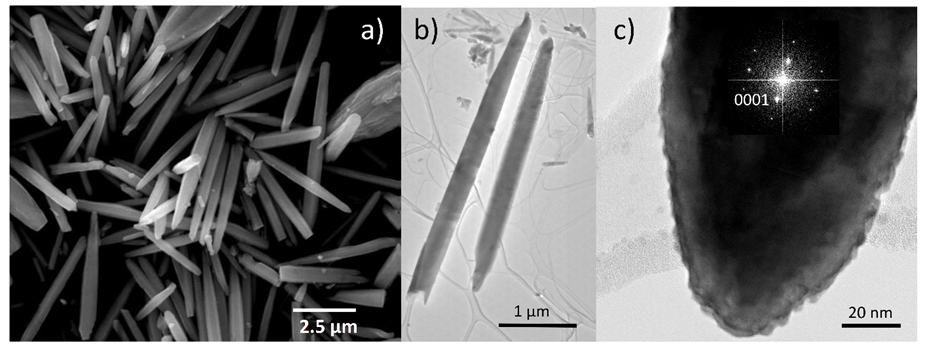 Biosensors 12 00245 g002 Biosensors 12 00245 g002