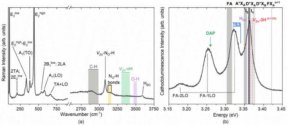 Biosensors 12 00245 g003 Biosensors 12 00245 g003