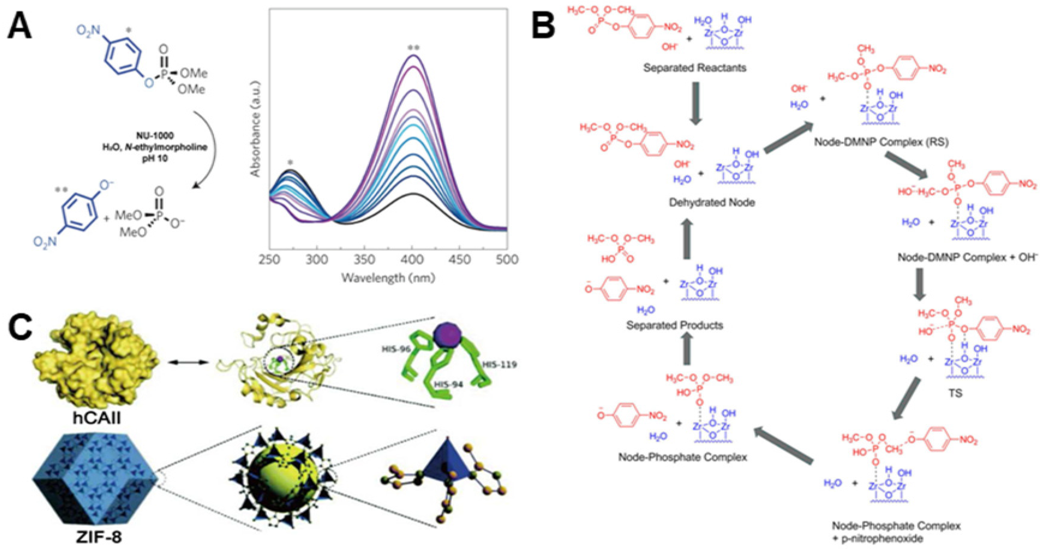 Biosensors 12 00251 g004