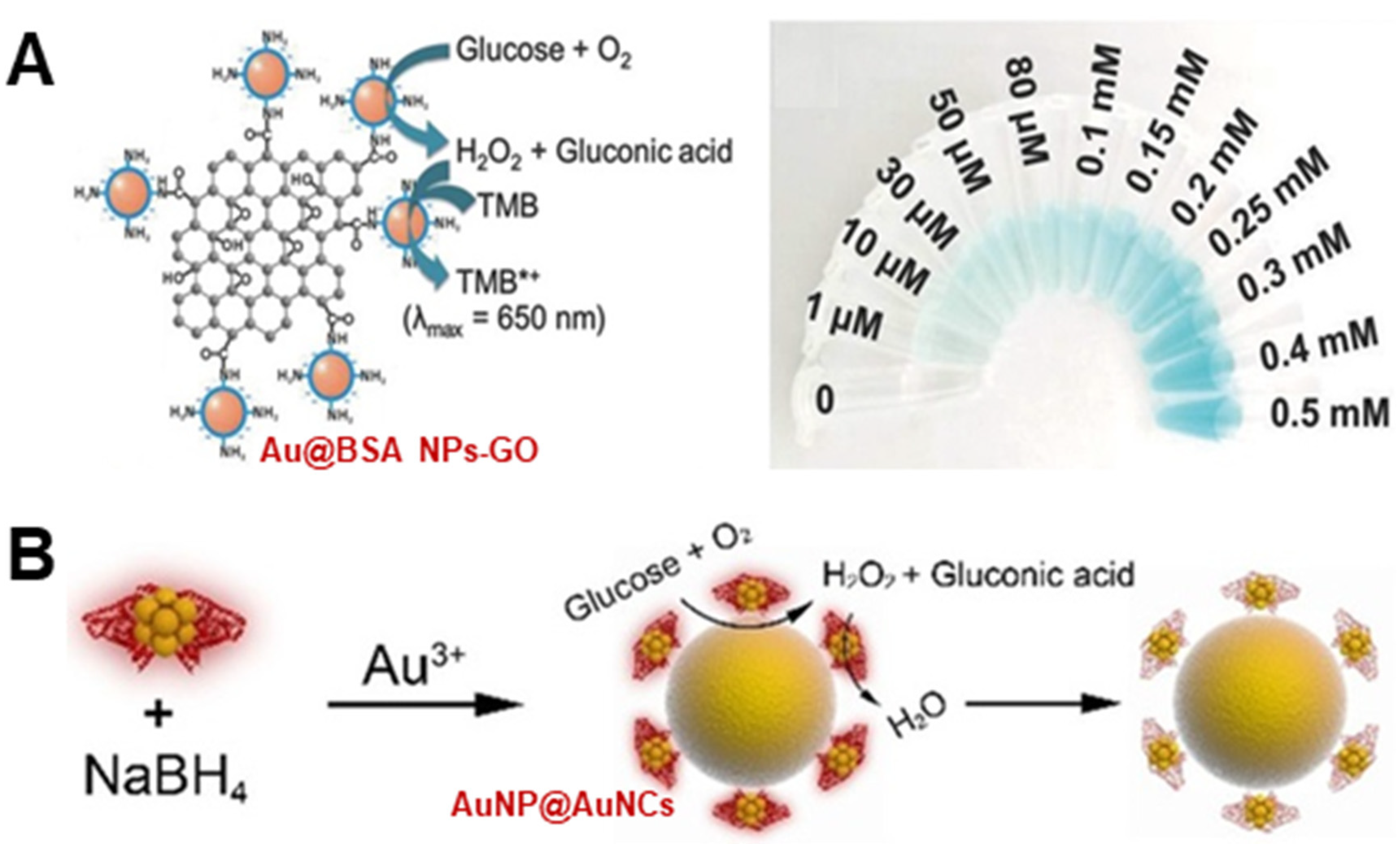 Biosensors 12 00251 g008