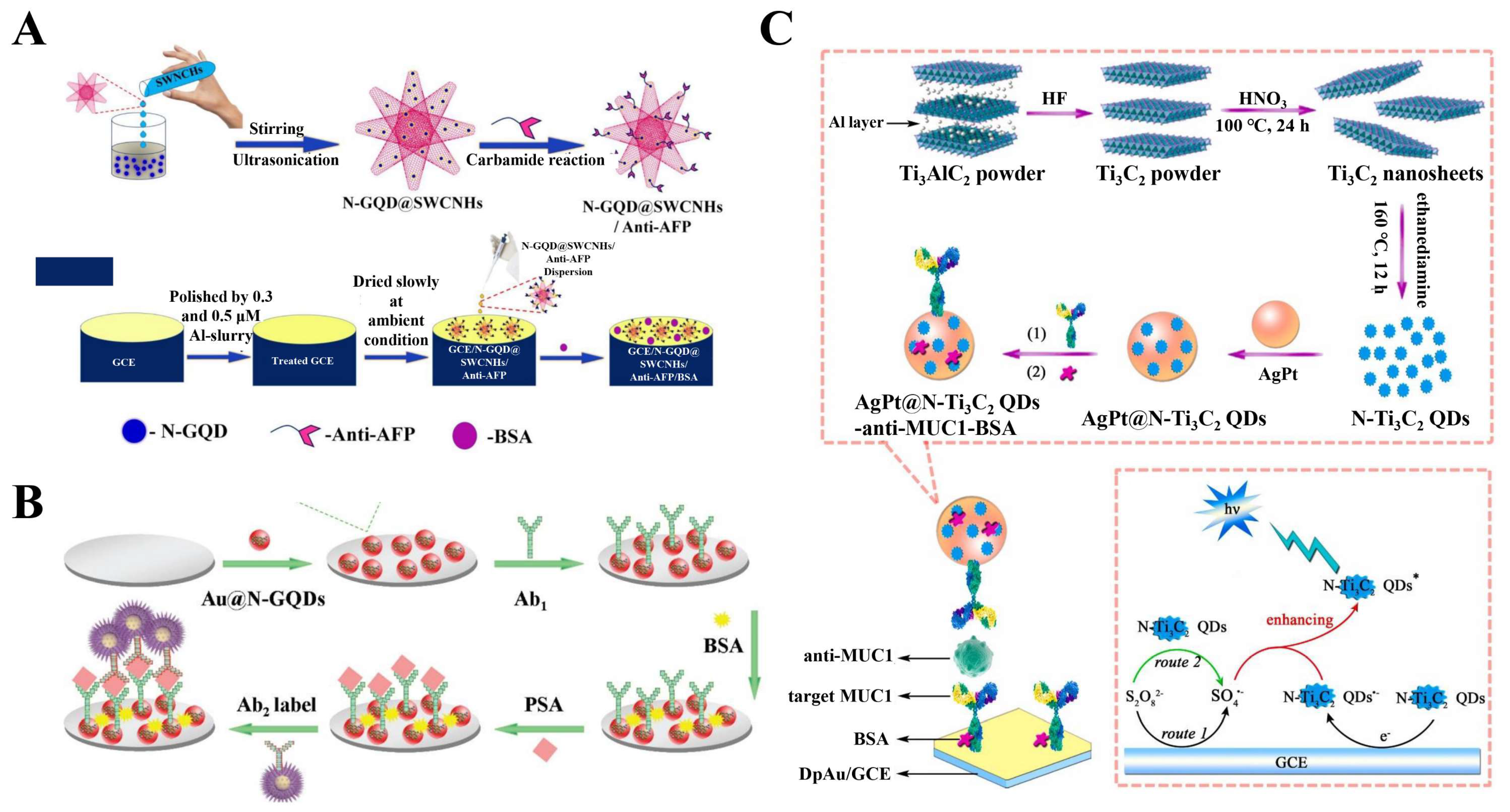 Biosensors 12 00254 g003