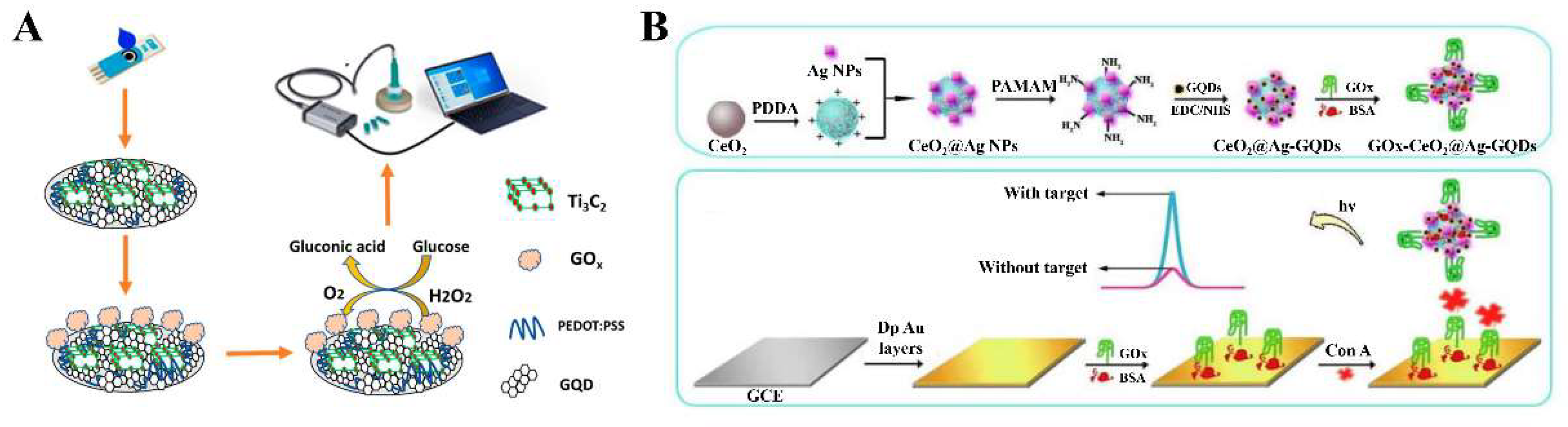 Biosensors 12 00254 g004