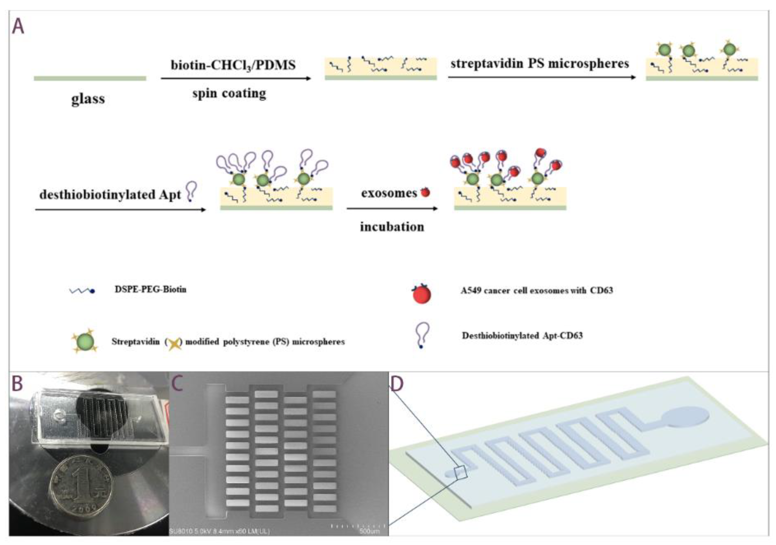 Biosensors 12 00257 g001