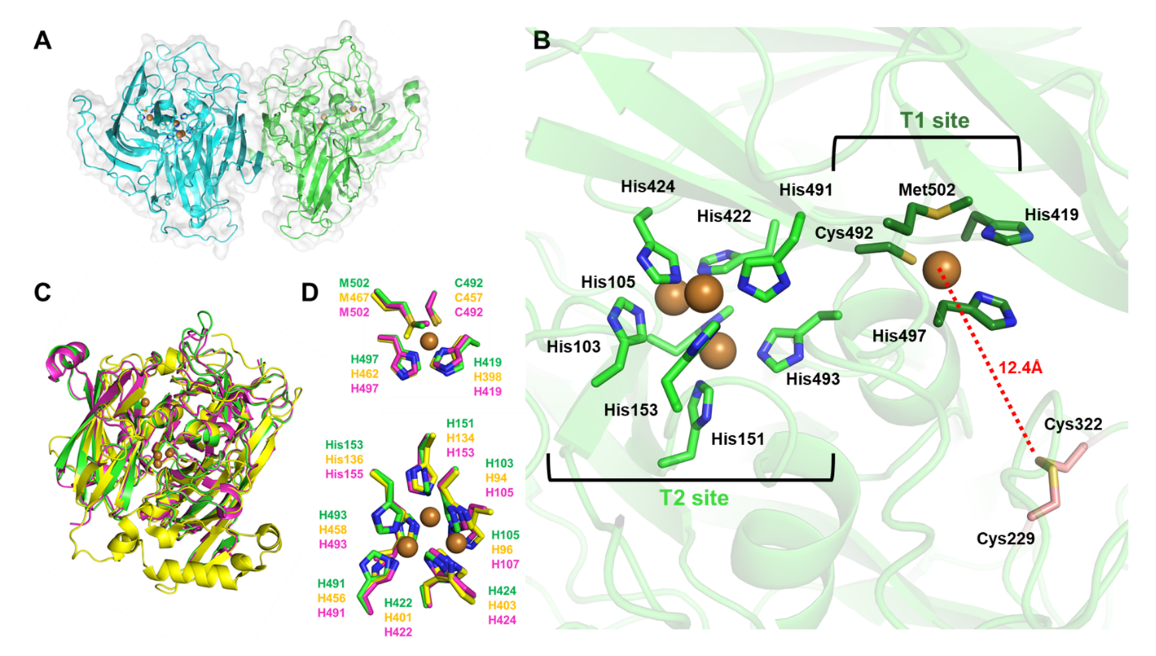 Biosensors 12 00258 g002