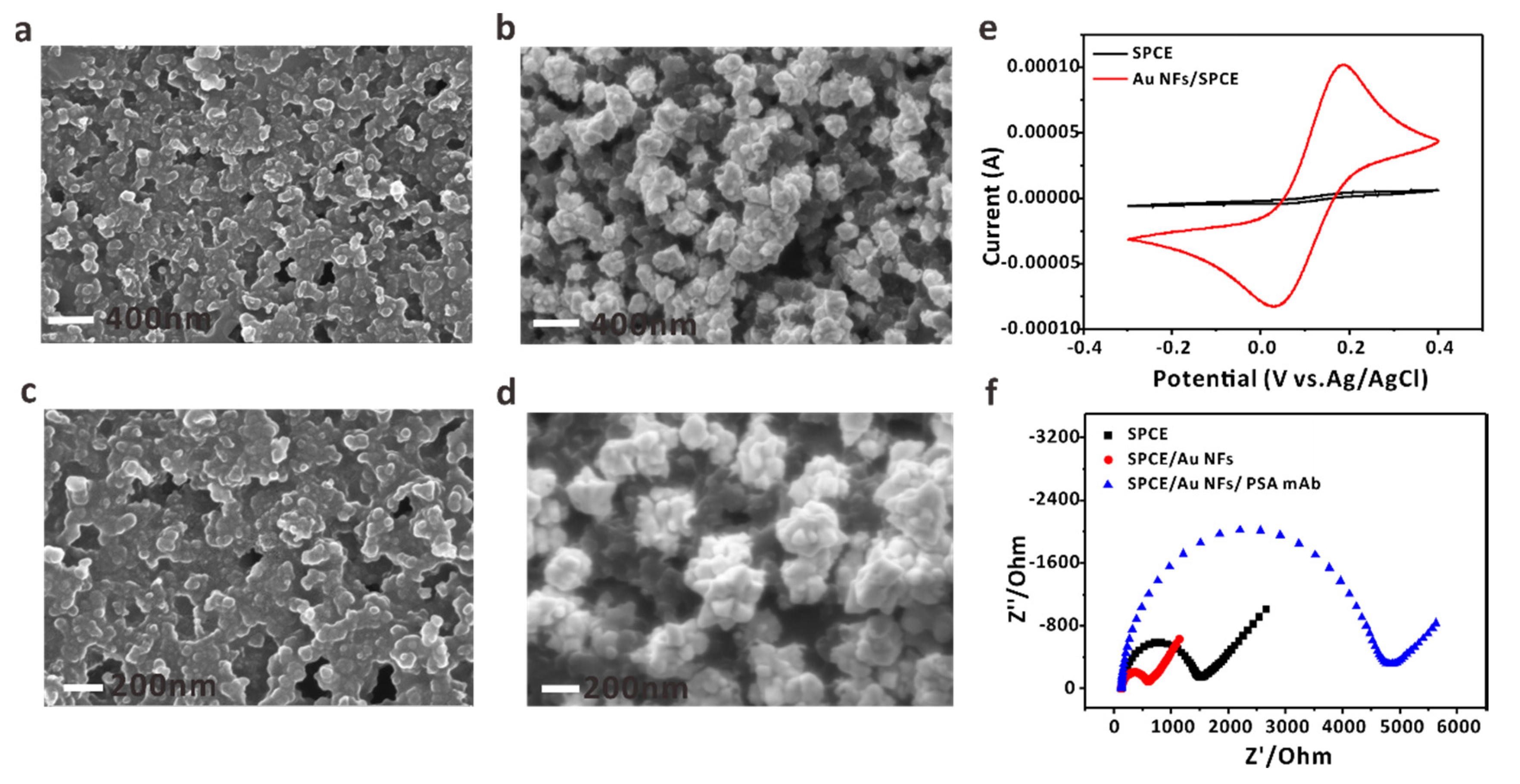 Biosensors 12 00259 g001