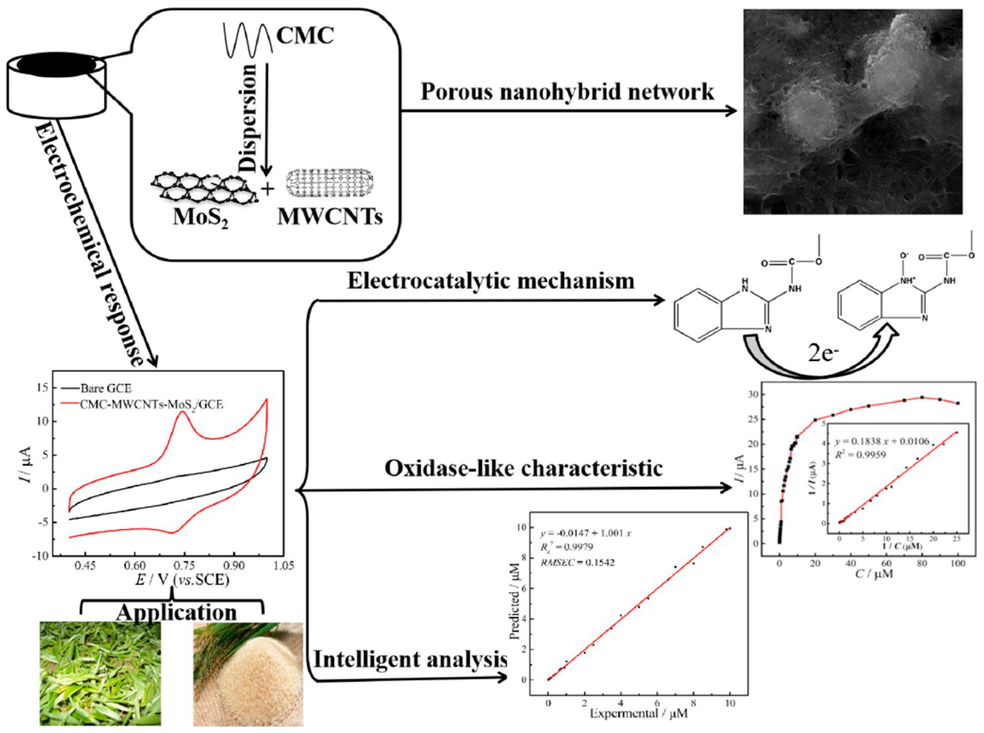 Biosensors 12 00263 g005