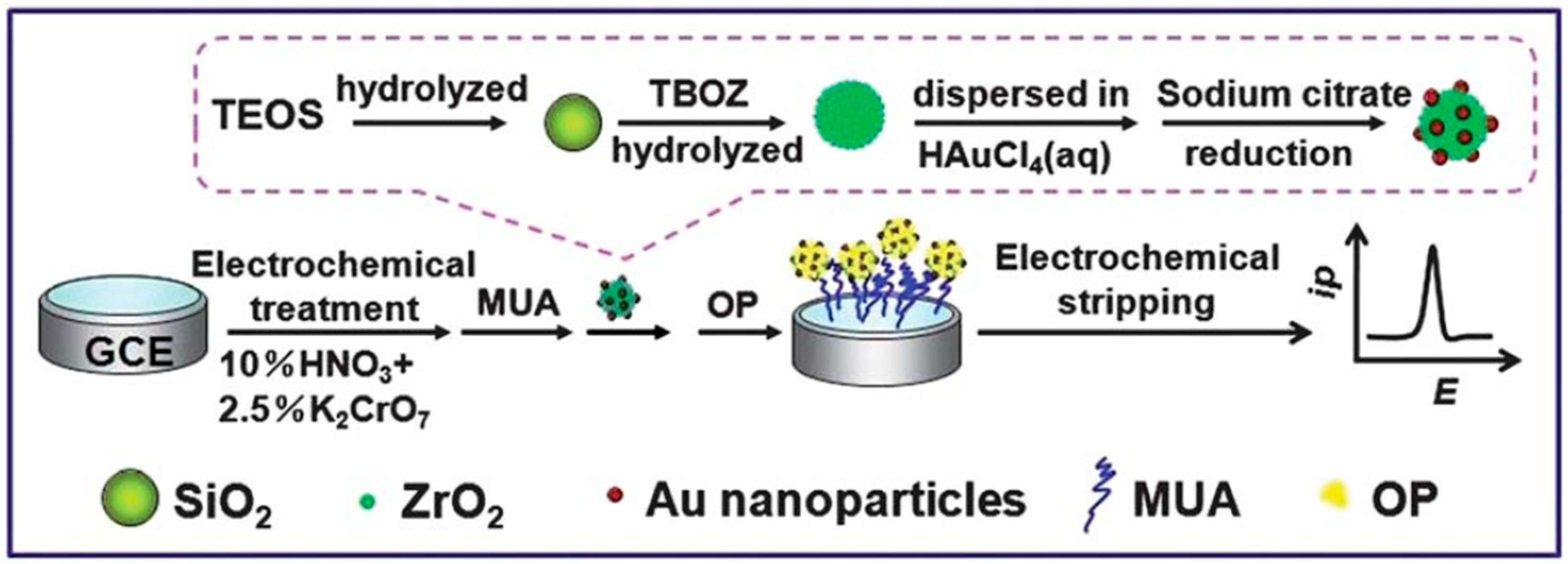 Biosensors 12 00263 g006