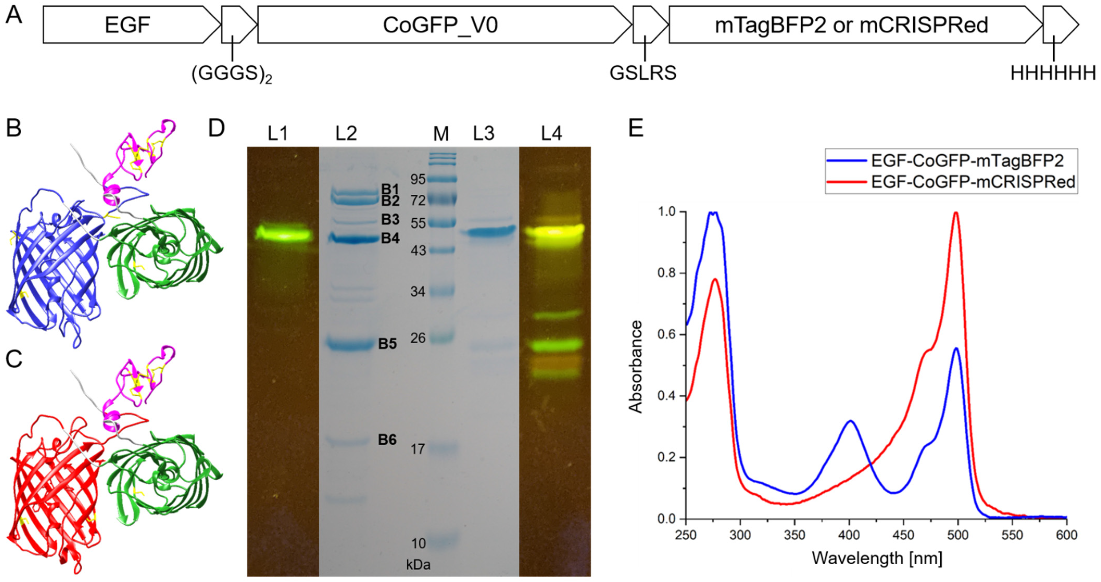 Biosensors 12 00271 g001