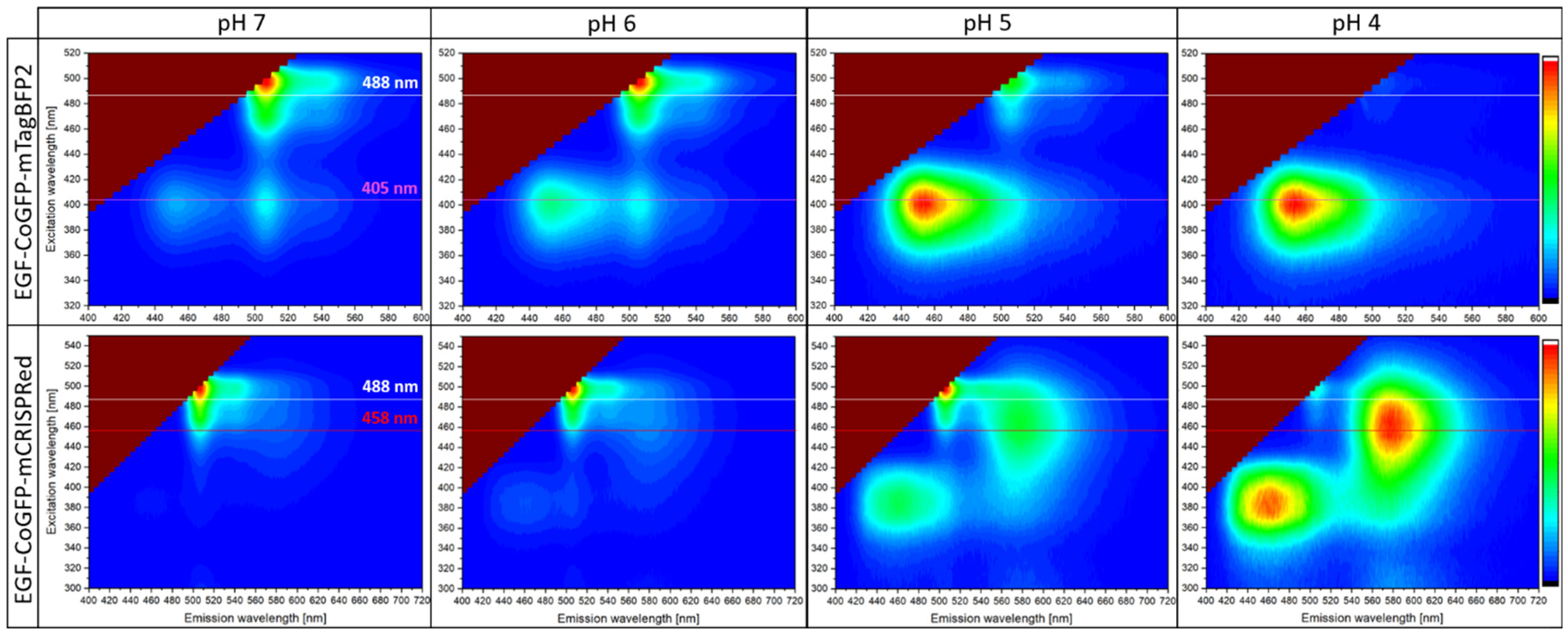 Biosensors 12 00271 g003