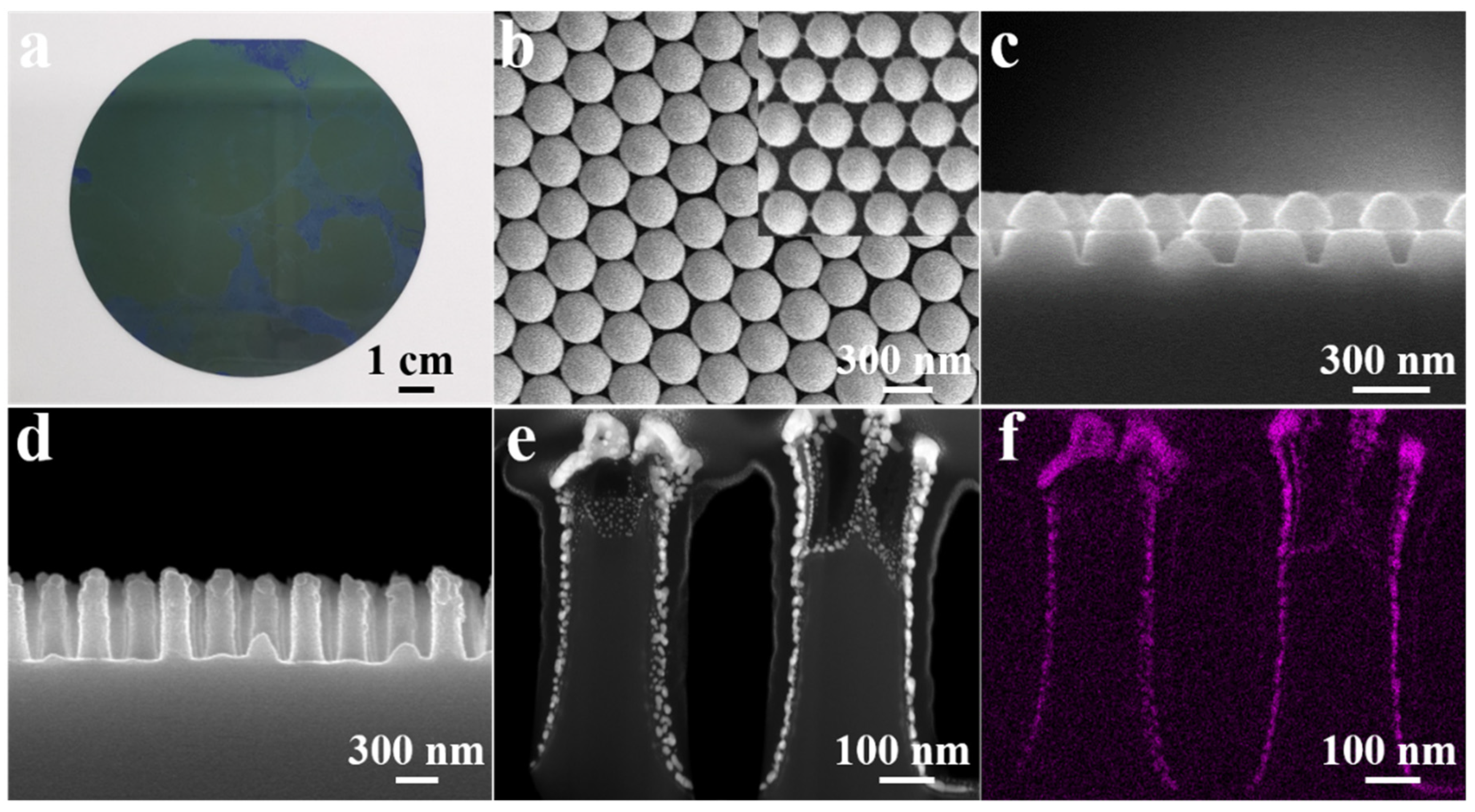 Biosensors 12 00273 g003