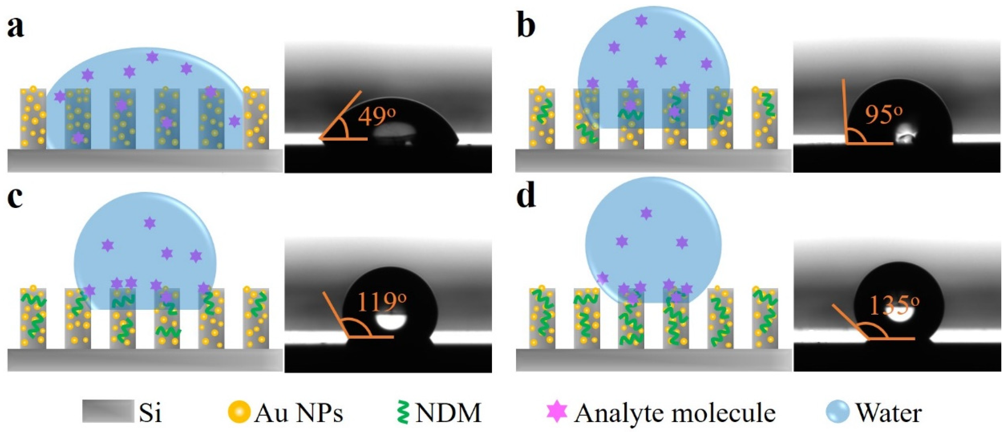 Biosensors 12 00273 g005
