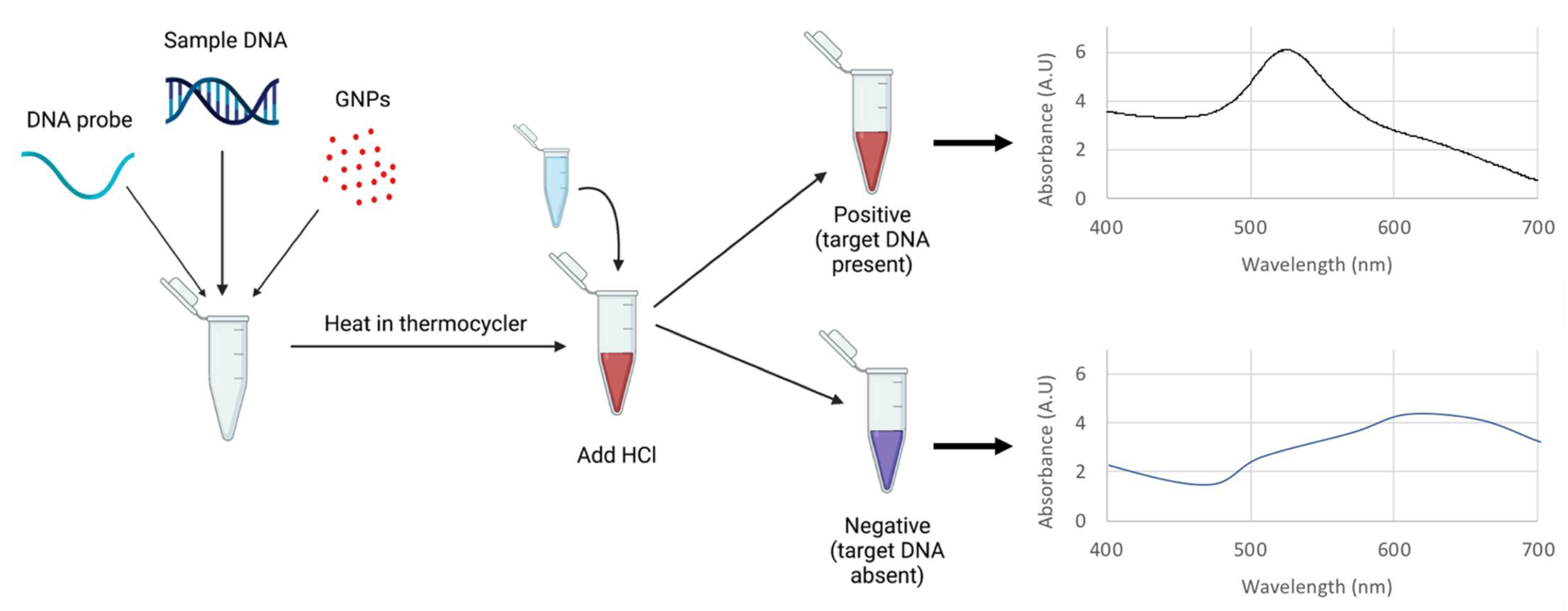 Biosensors 12 00274 g002