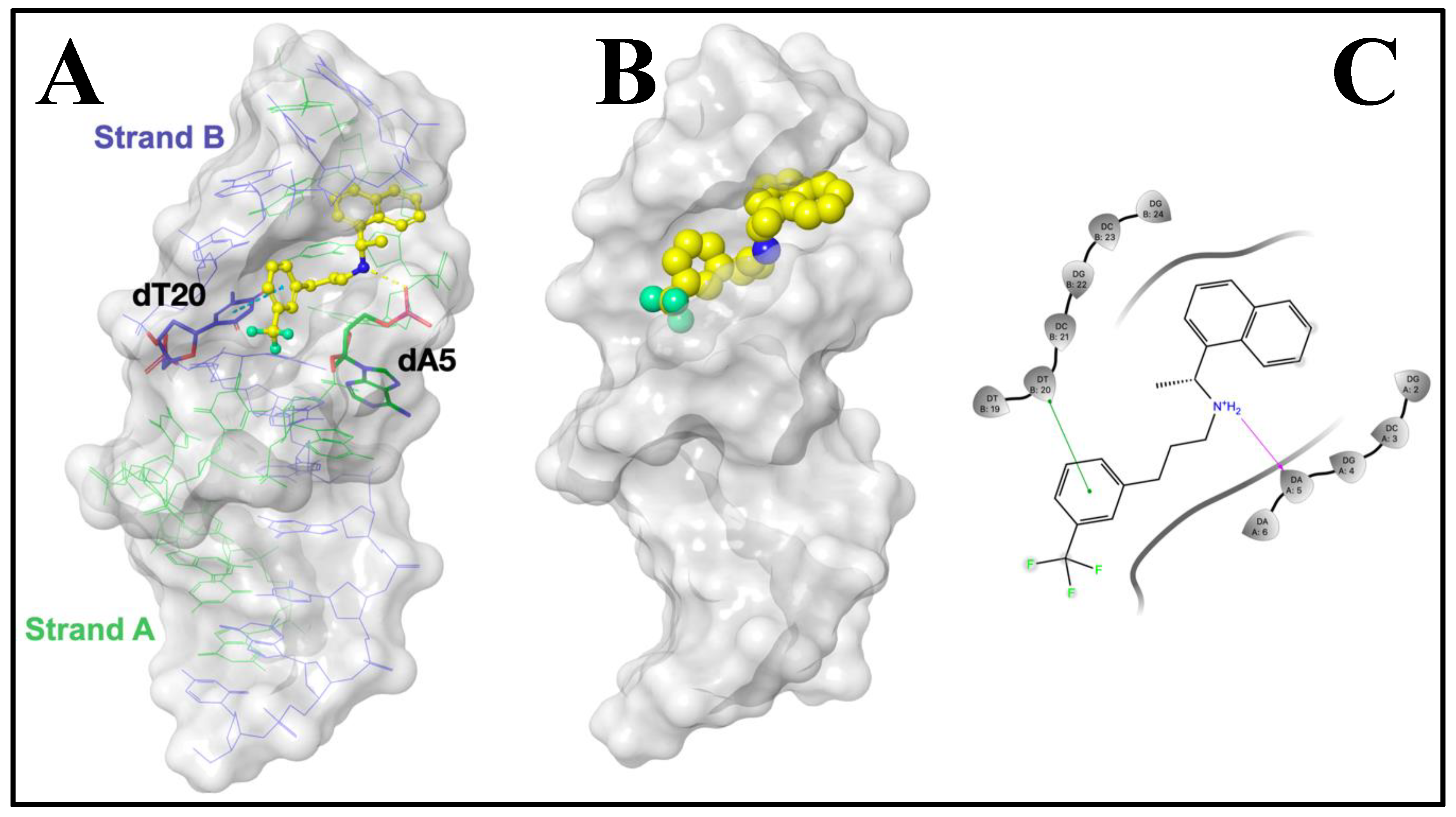 Biosensors 12 00278 g006