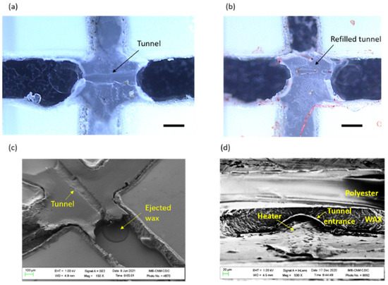 Biosensors 12 00280 g0a2 550